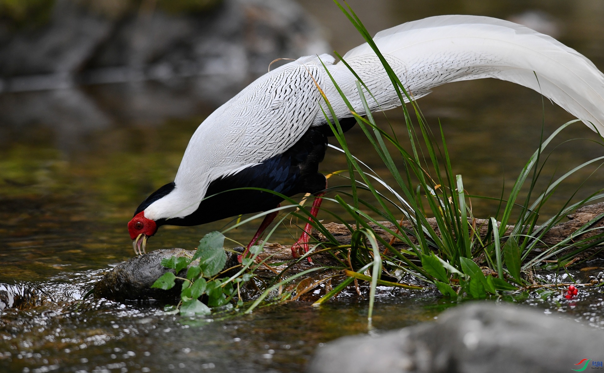 DSC_7205.jpg