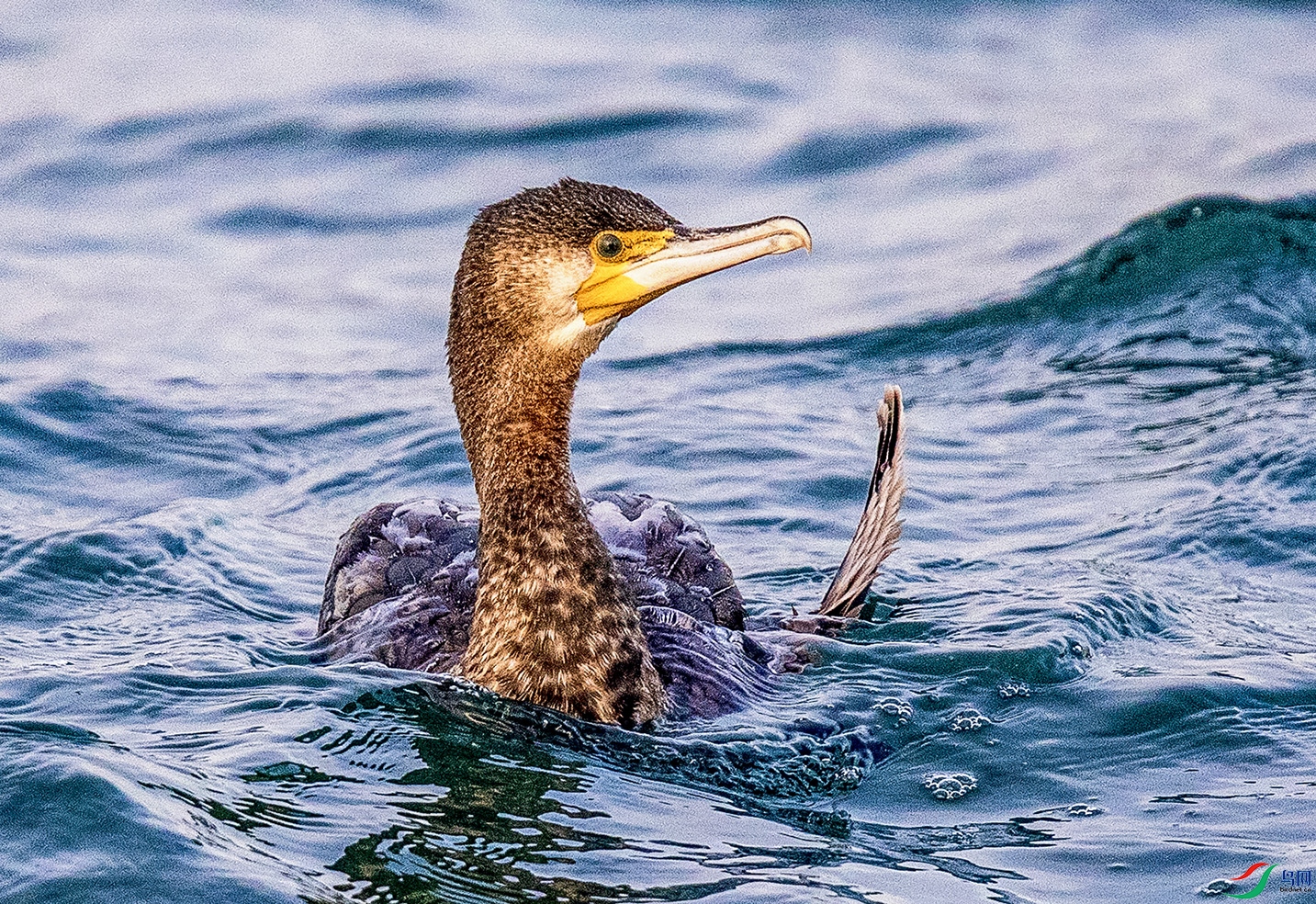 _90I7604 ���� 2.jpg