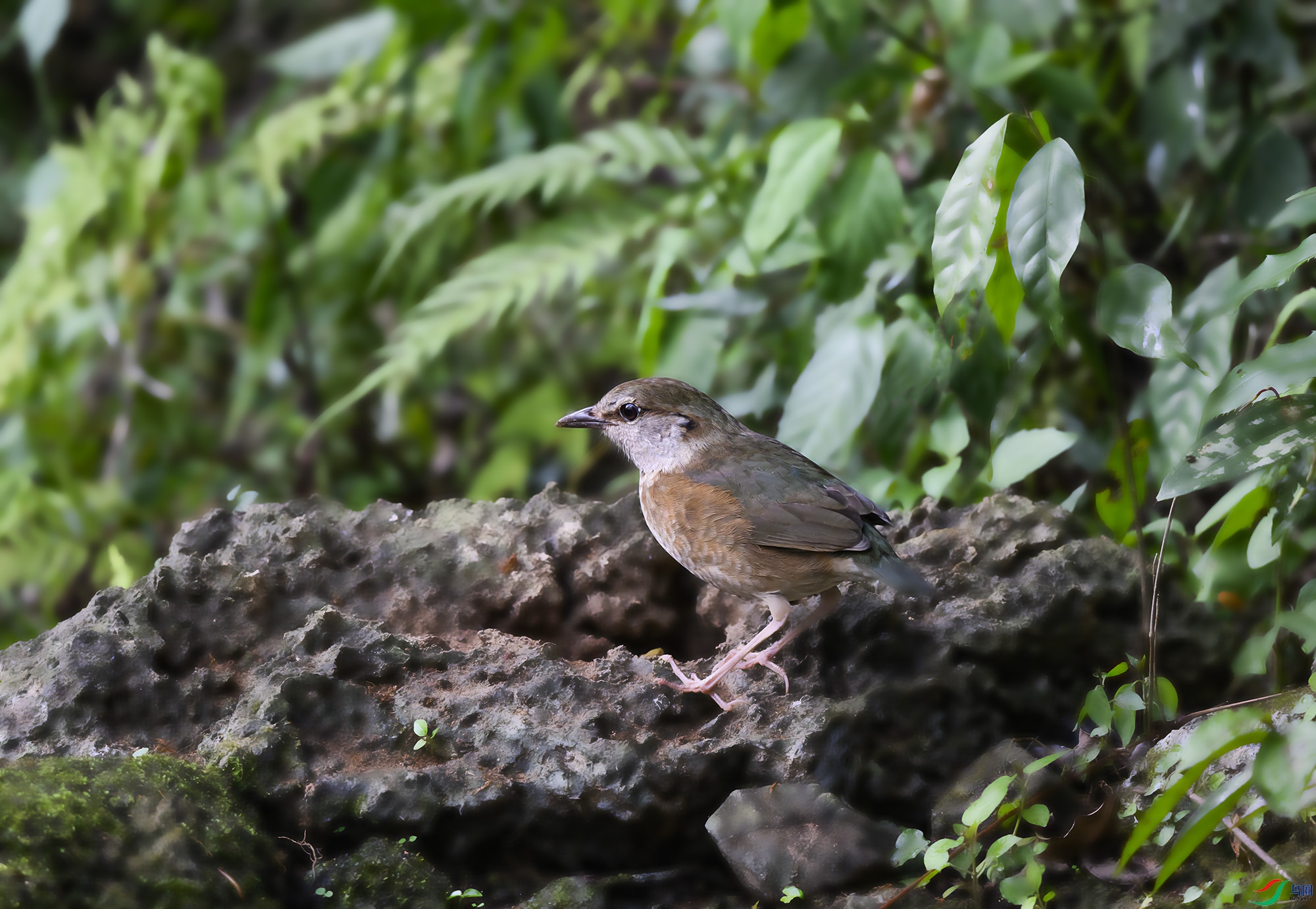DSC_0046.jpg