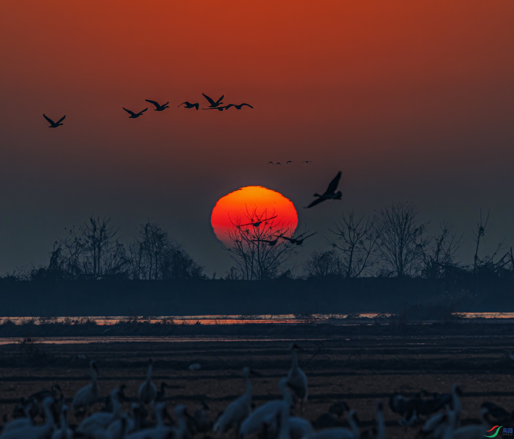 �����糿