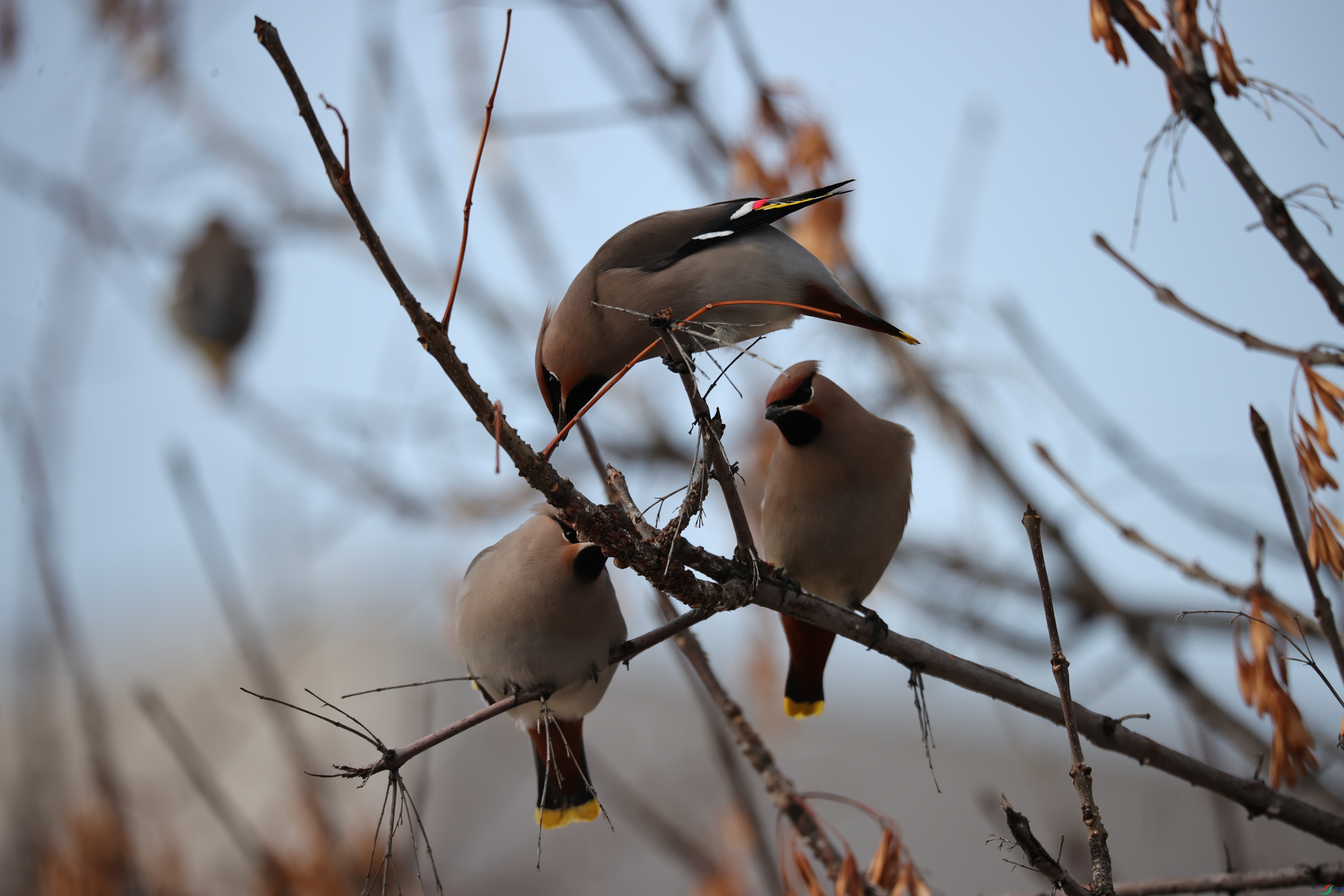 ����17
