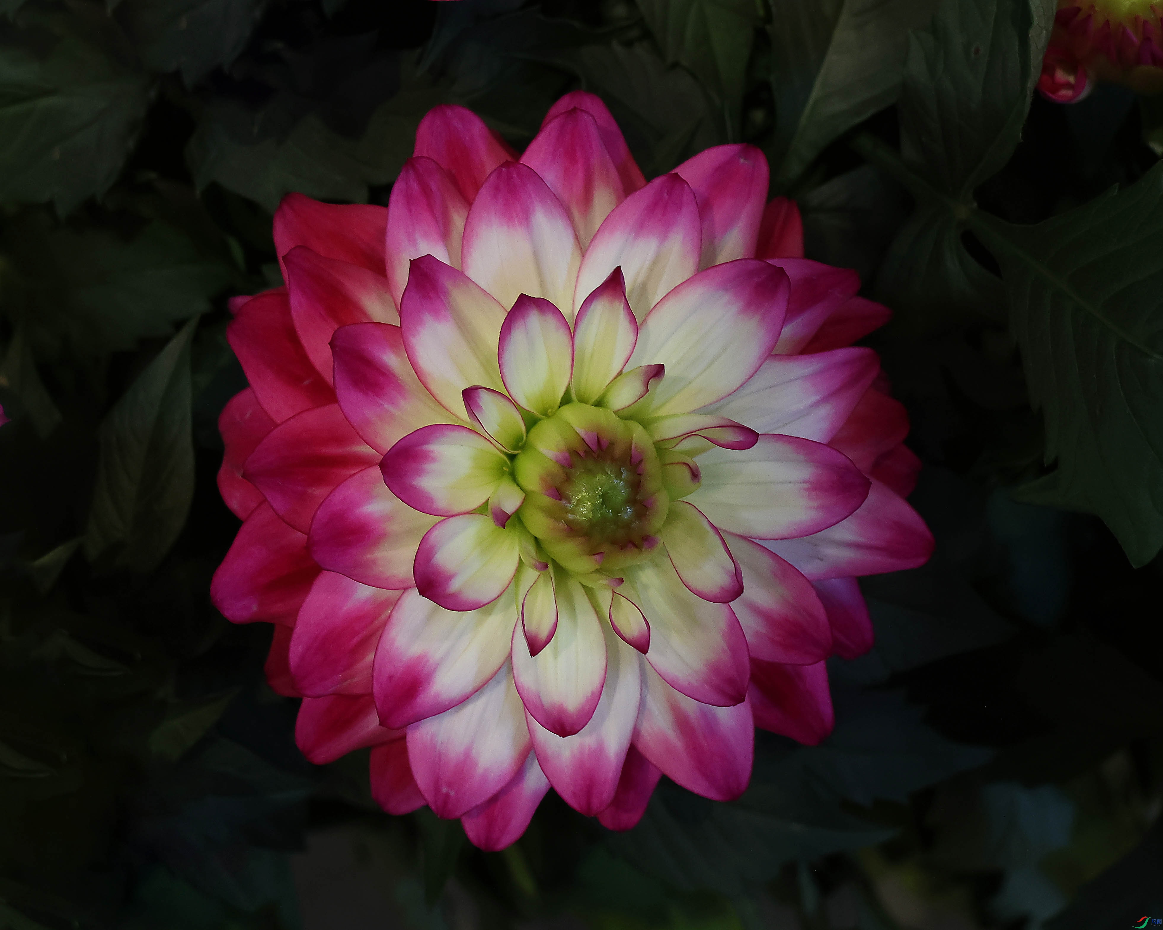 2G9A0980.JPG