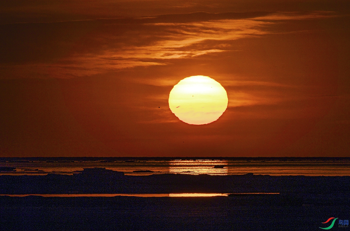 _5LM0148a.jpg