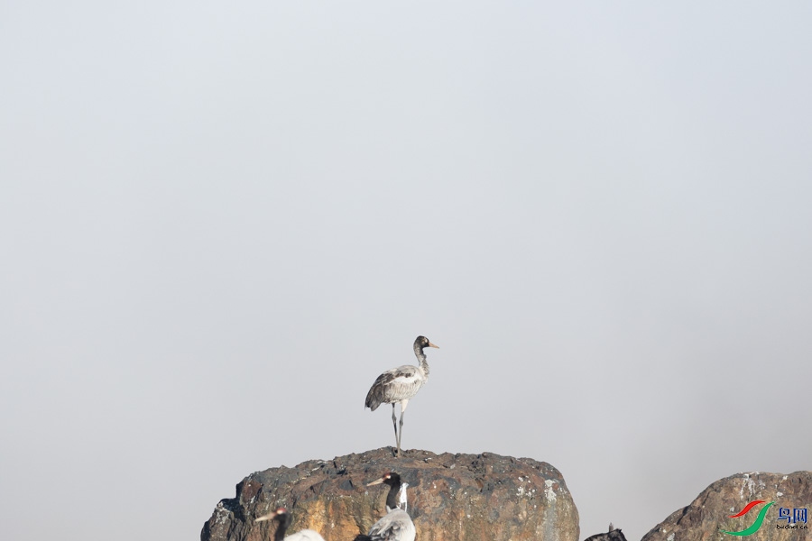 0B0A6927.jpg