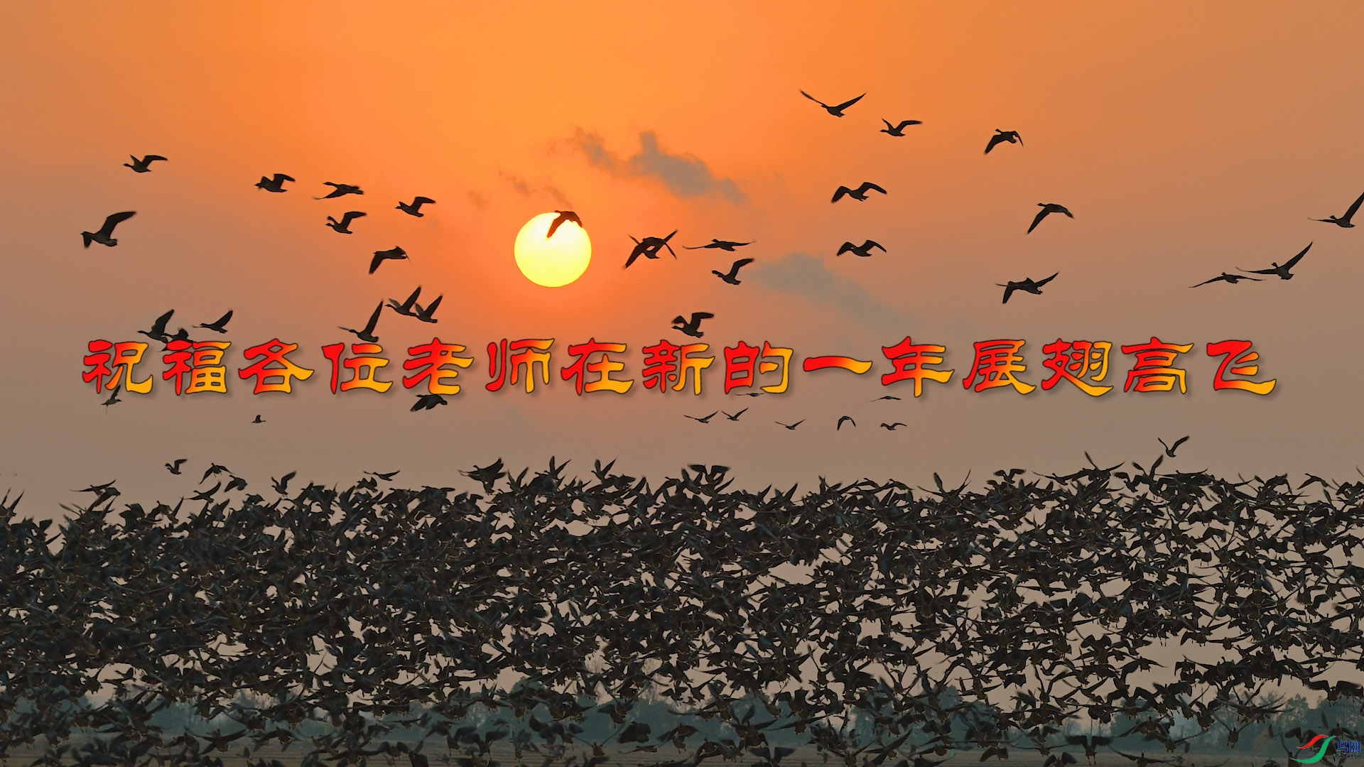 00_00_08_40.Still001.jpg