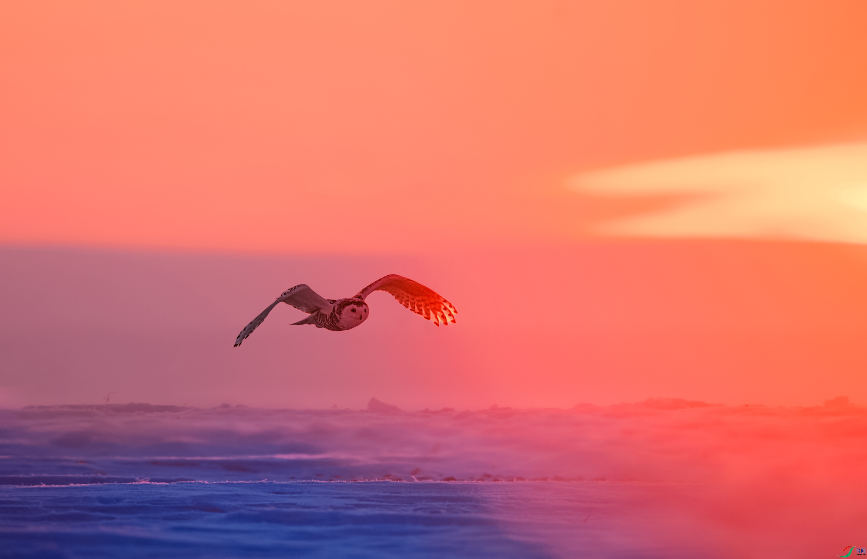 DSC_1425.jpg