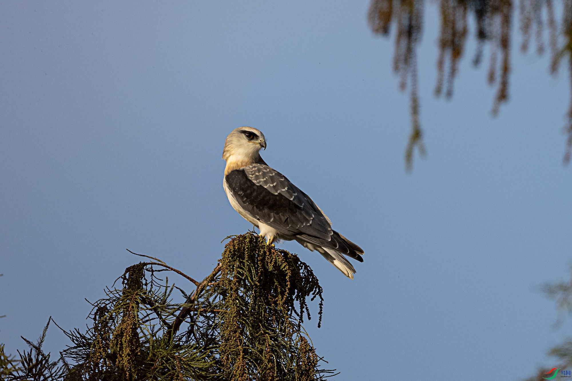 DSC_2138.jpg
