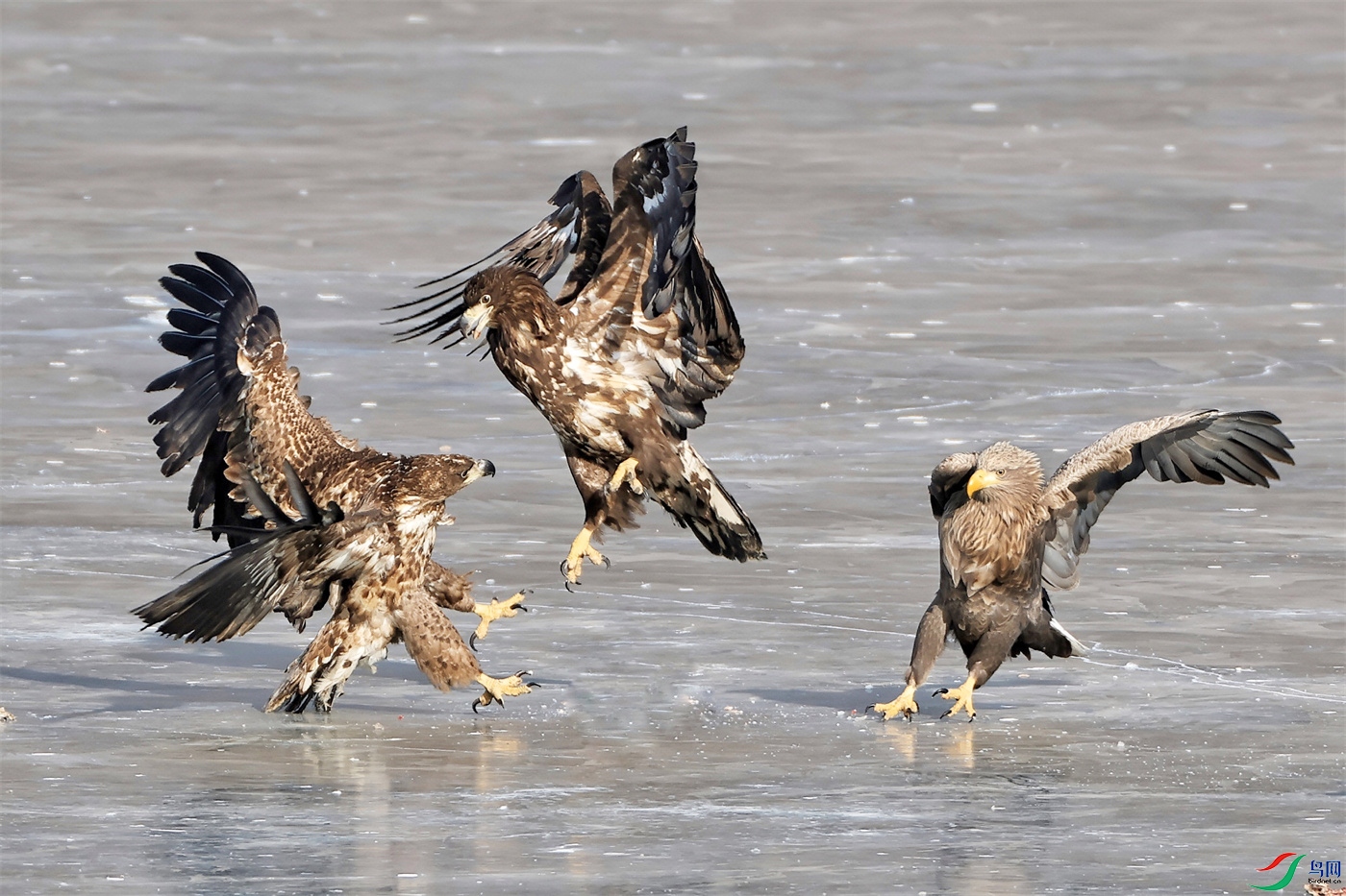 ΢��ͼƬ_20260213223445.jpg