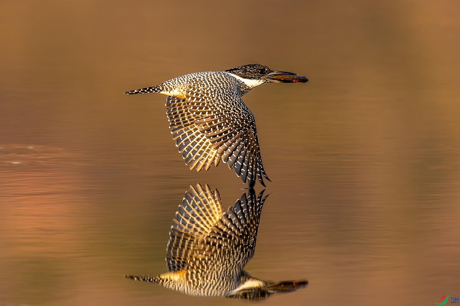 _F9A6456 ����.jpg