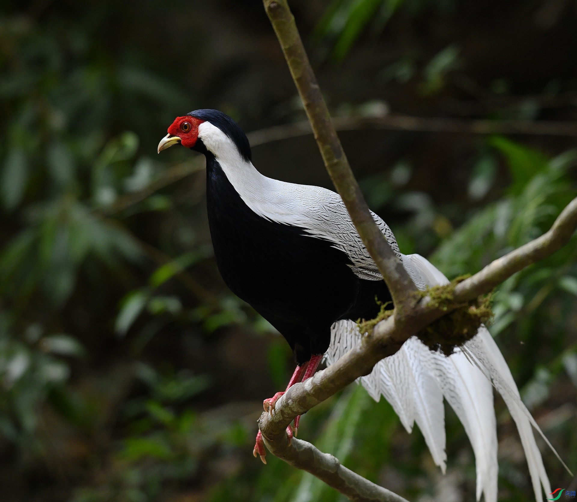 DSC_2587.jpg