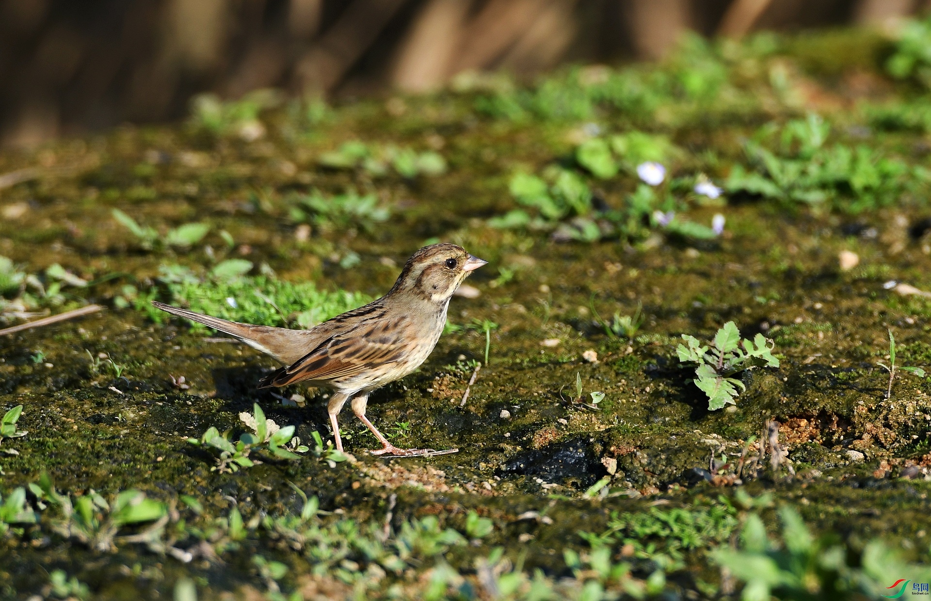 DSC_0022.jpg