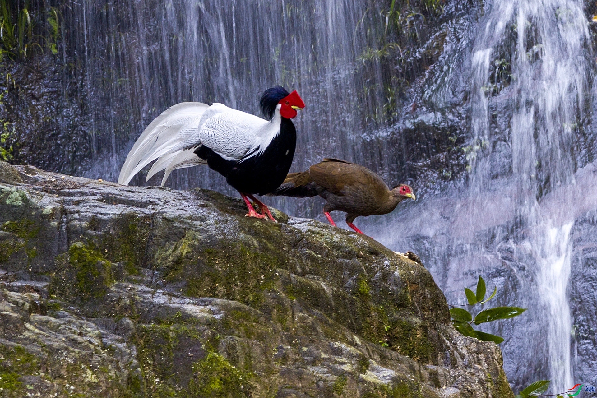 2H6A9535 ����_����.jpg