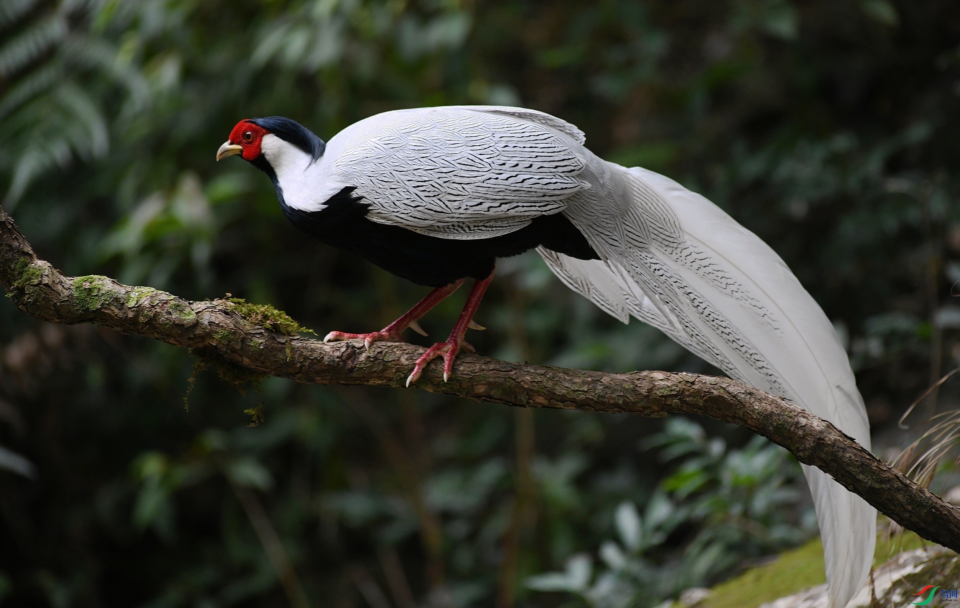 DSC_7099.jpg