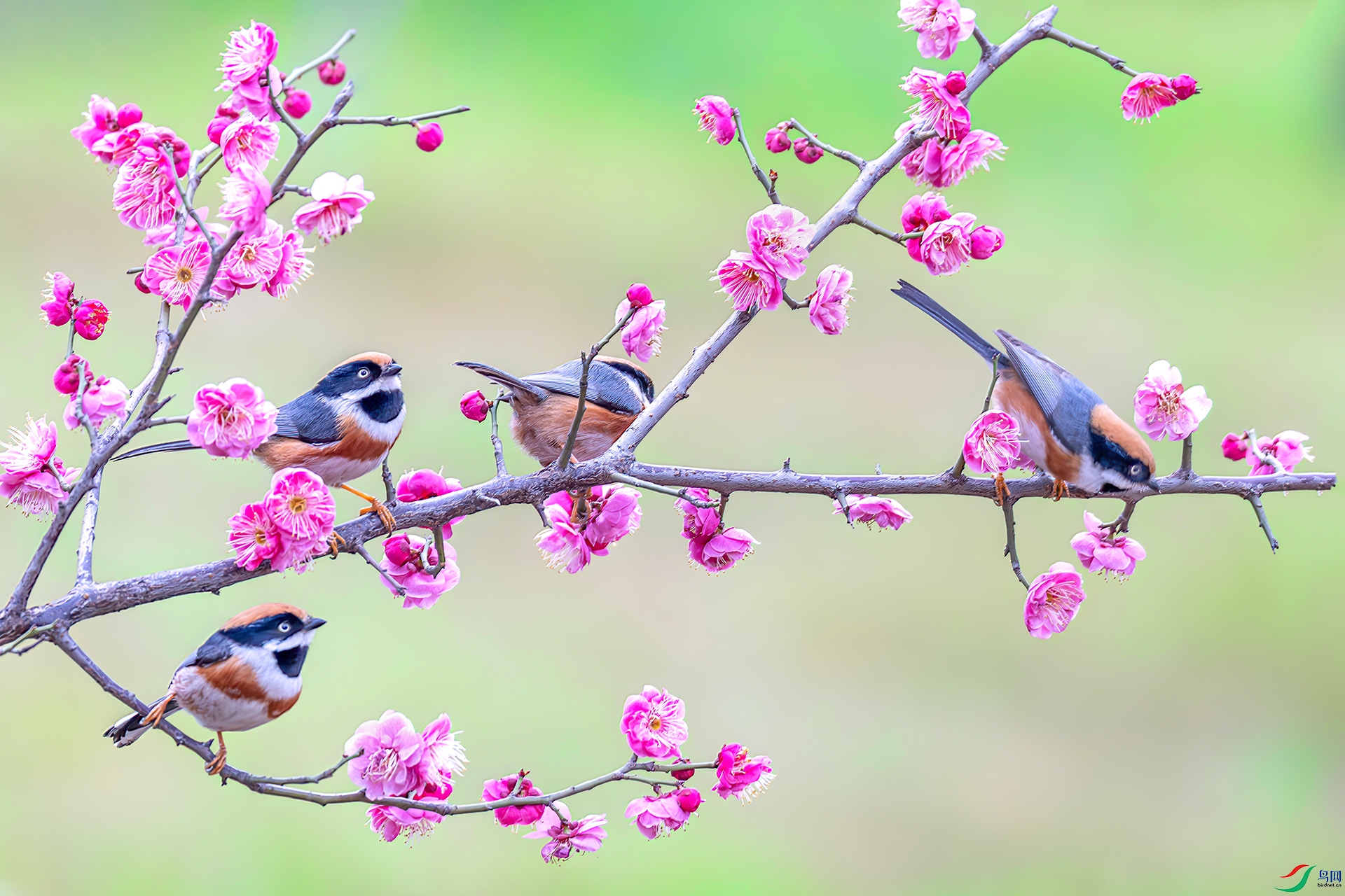 060A6932-----33  .jpg