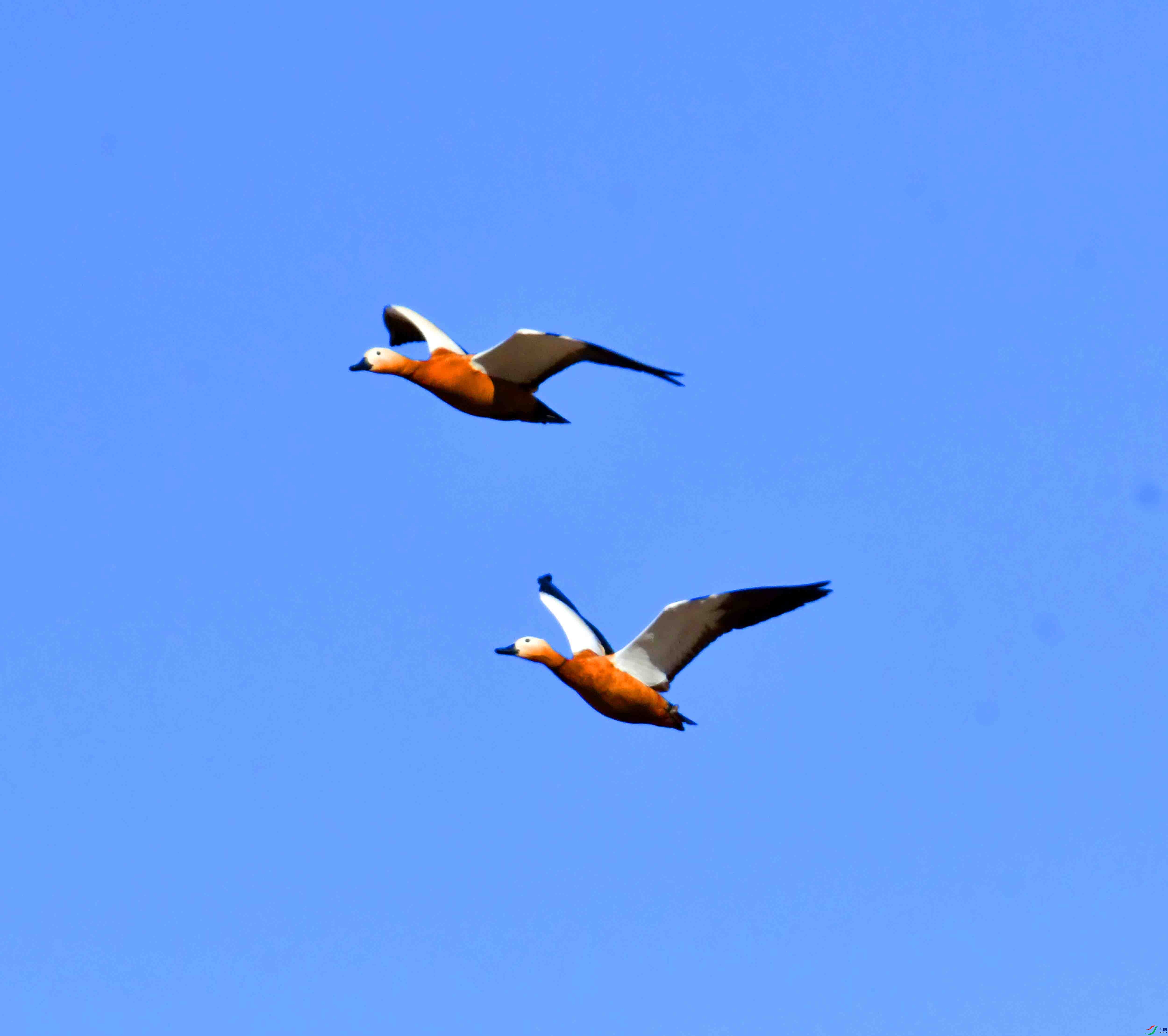 DSC_5538.JPG