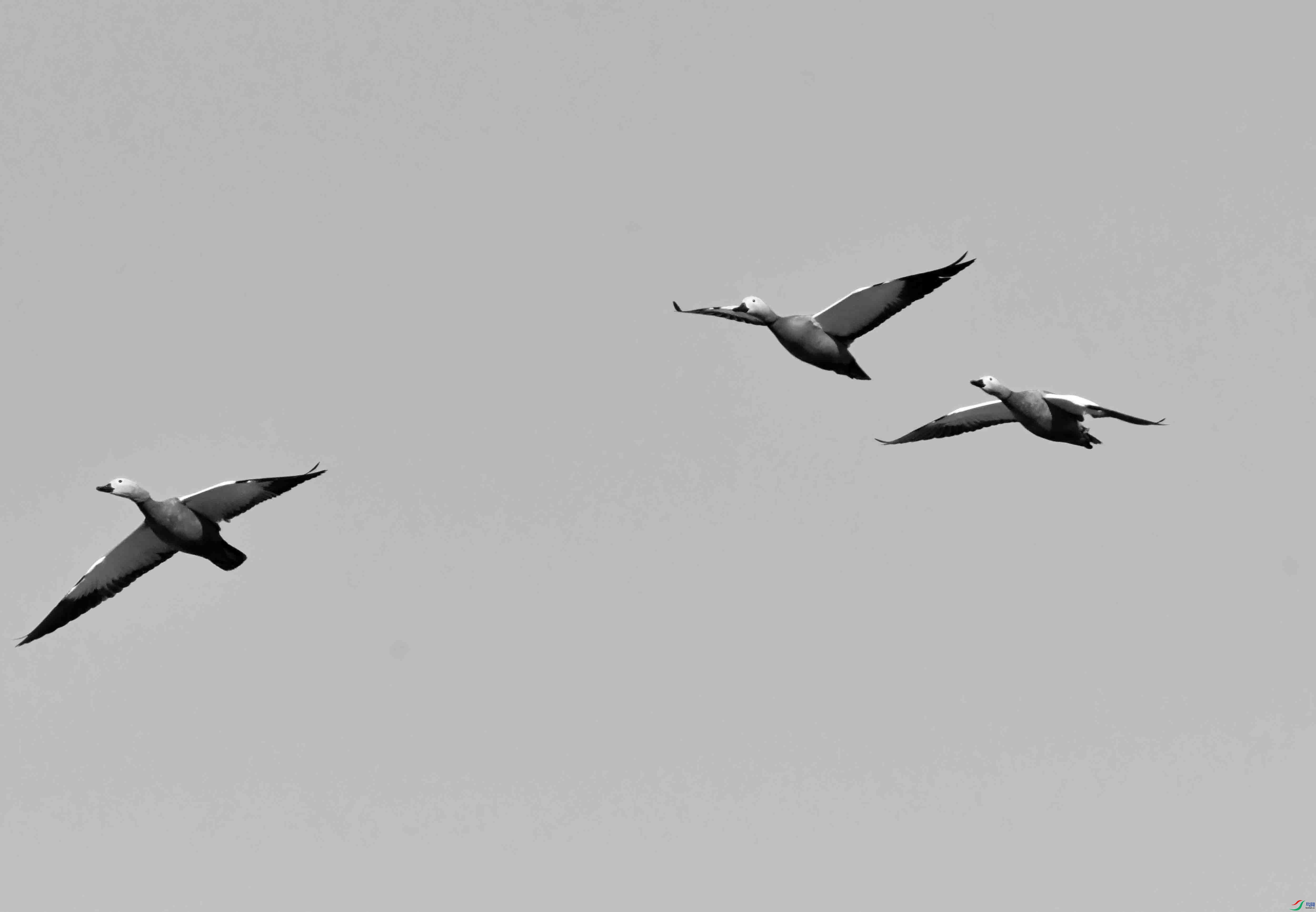 DSC_5539.JPG