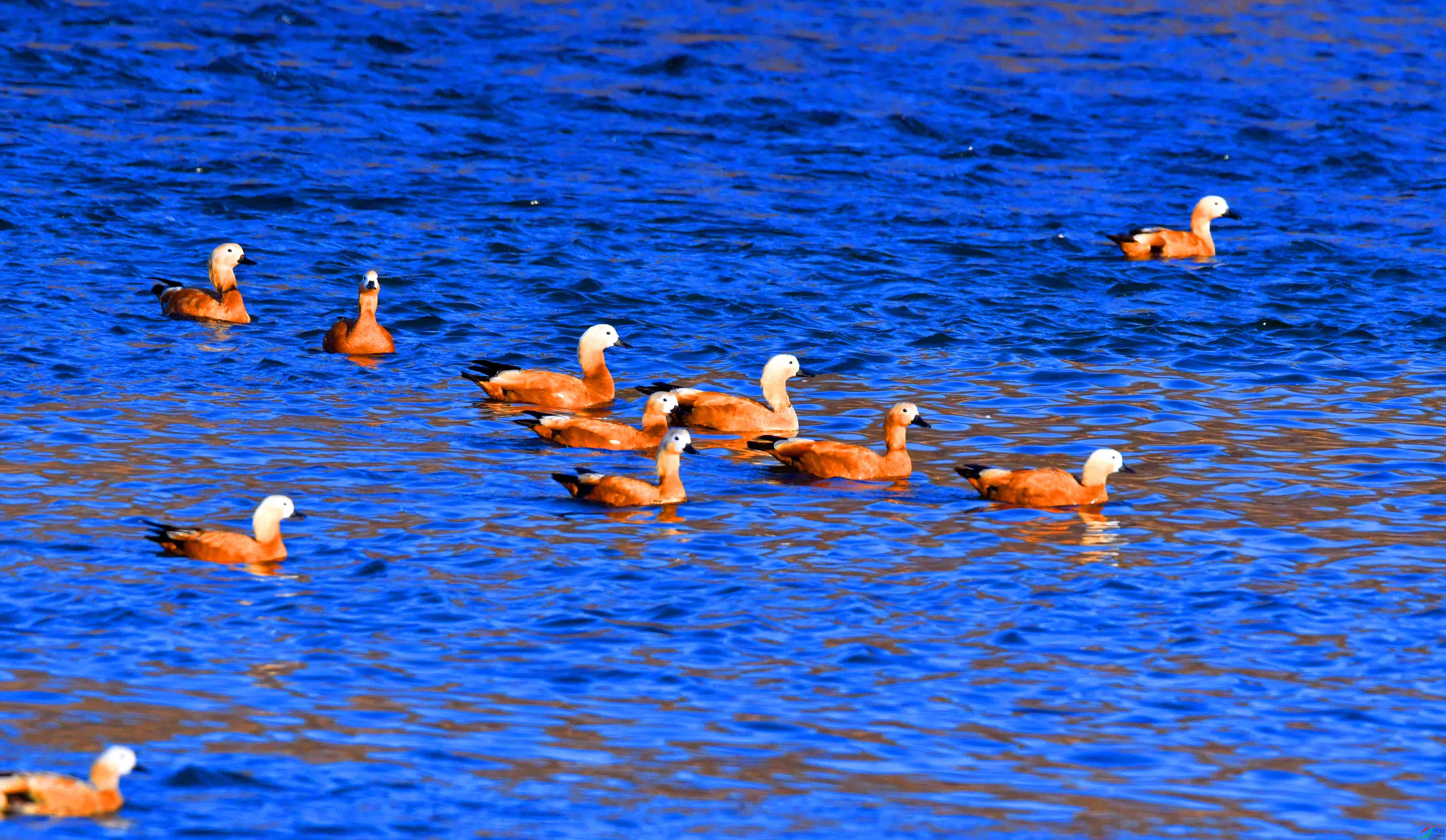 DSC_5601.JPG