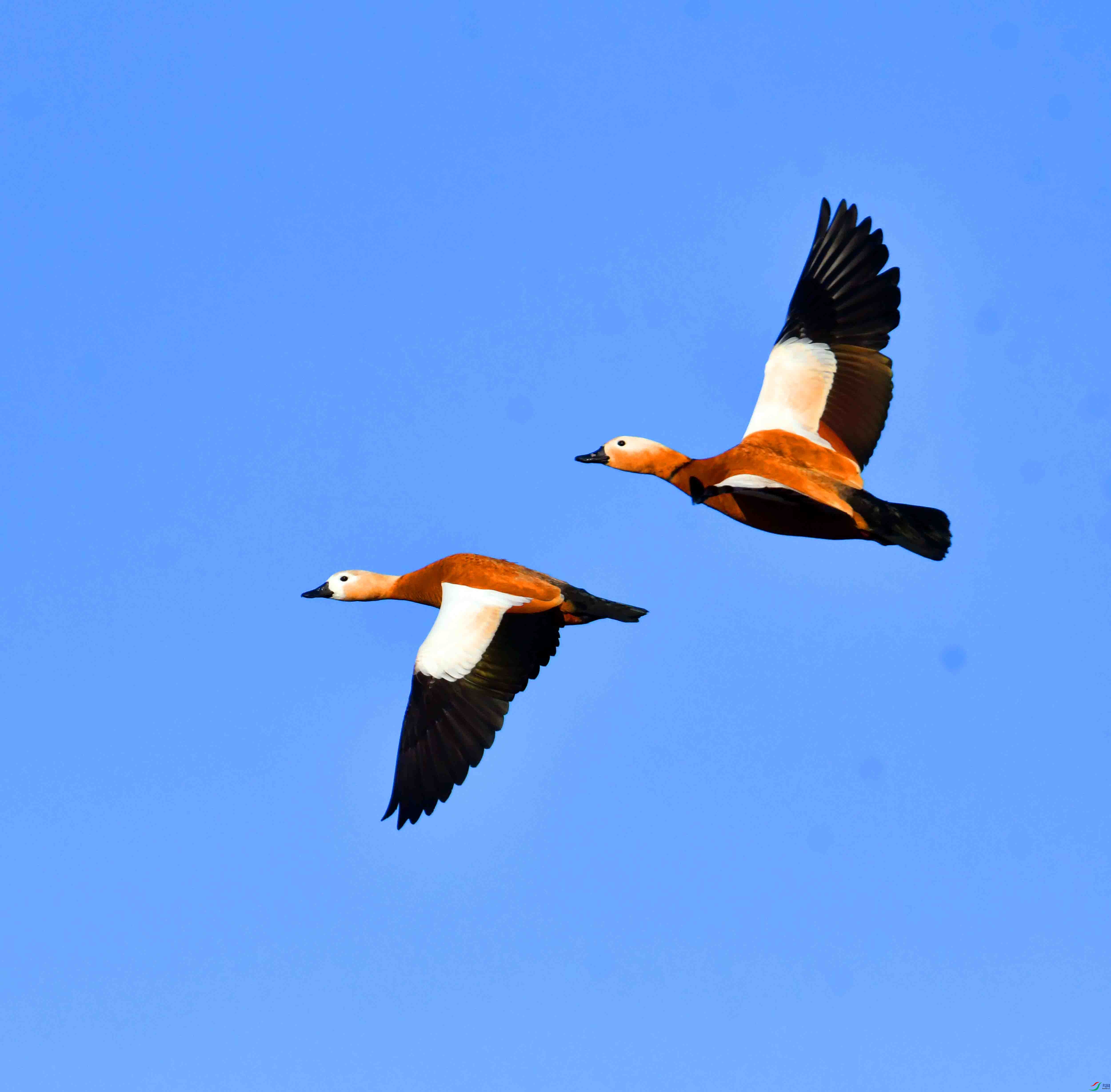 DSC_5633.JPG