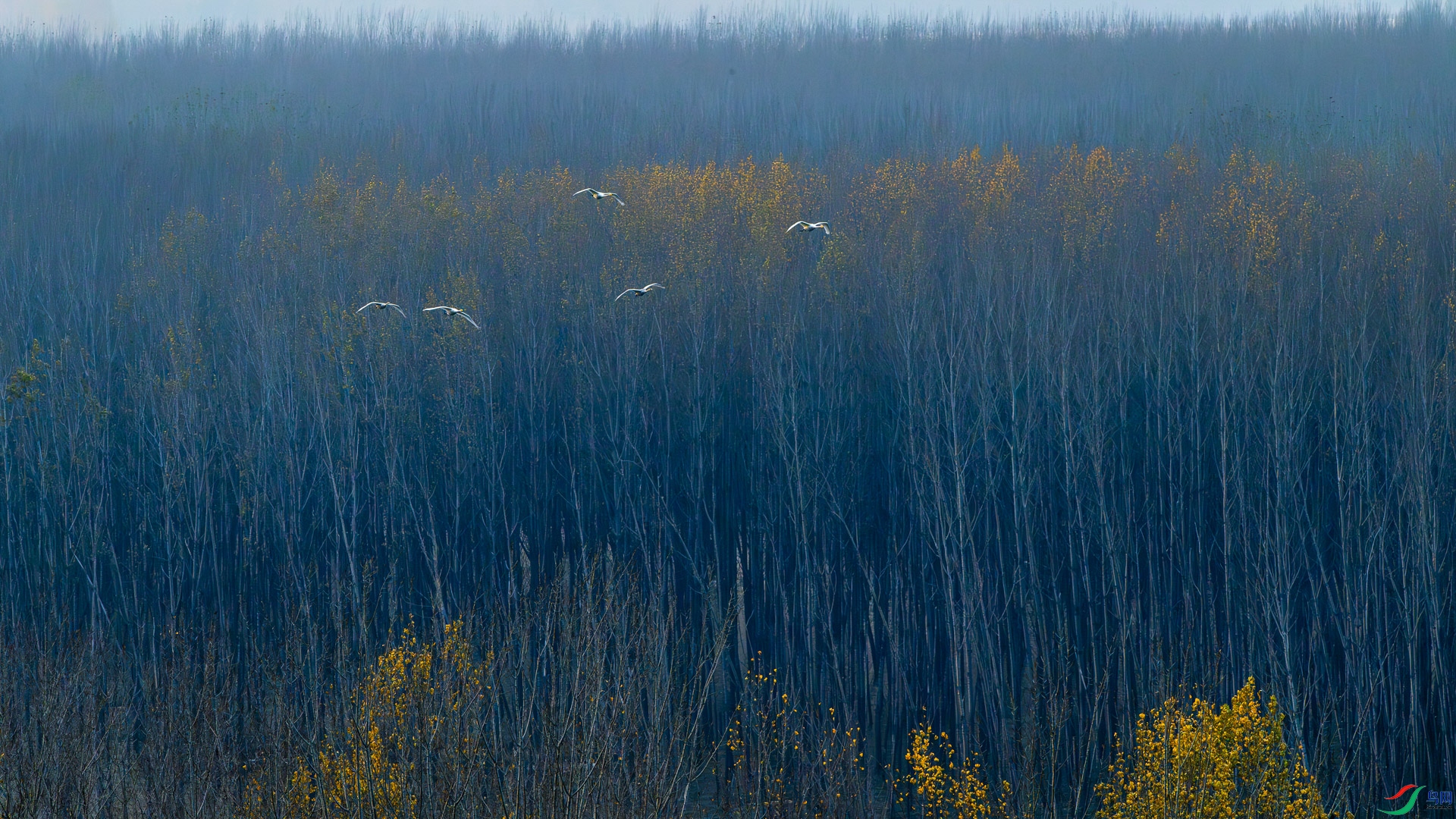 _DSC2680.jpg