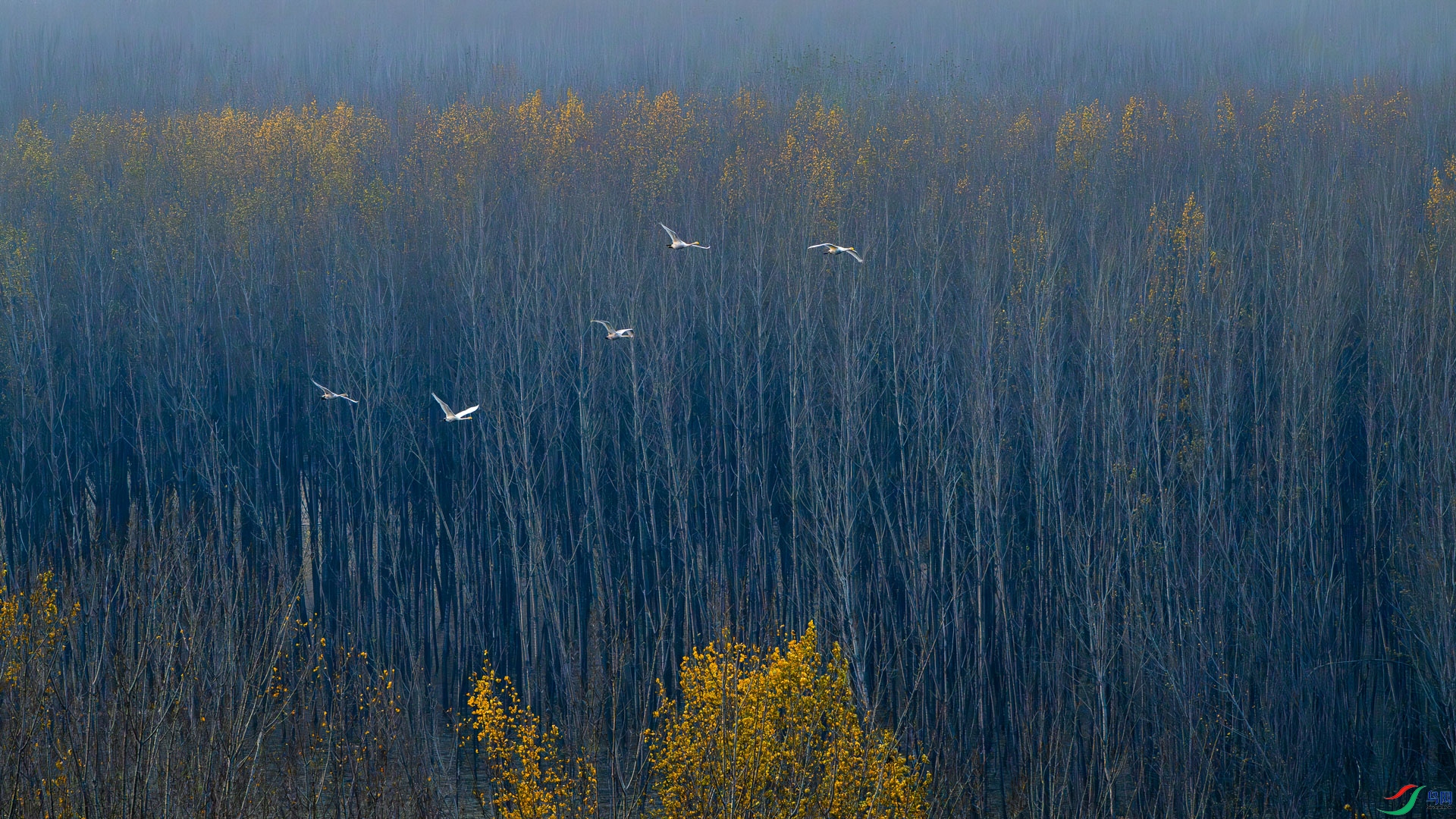 _DSC2693.jpg