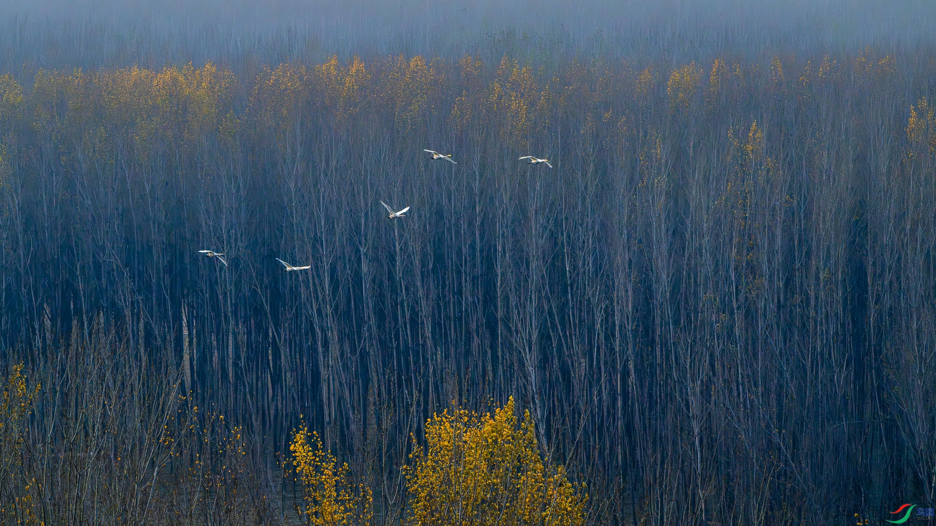 _DSC2694.jpg