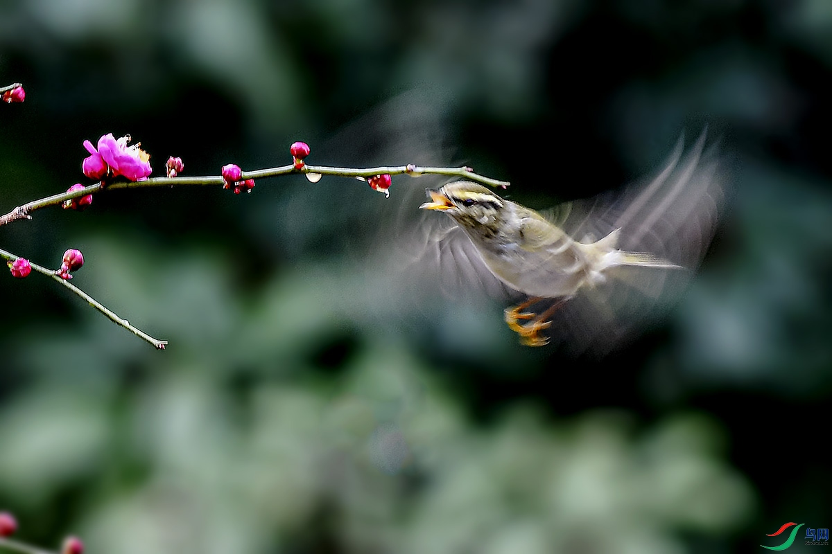 DSC_2389`.jpg