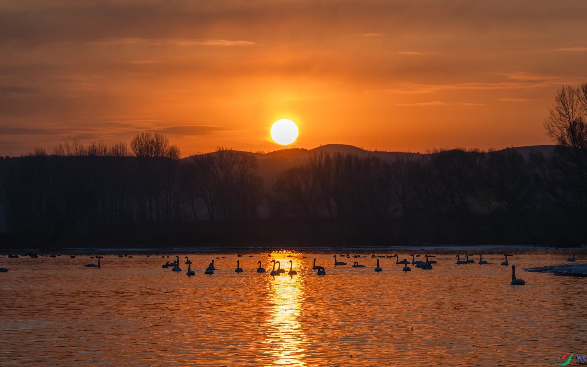 �������� ����֮�� ����ٻӰ.jpg