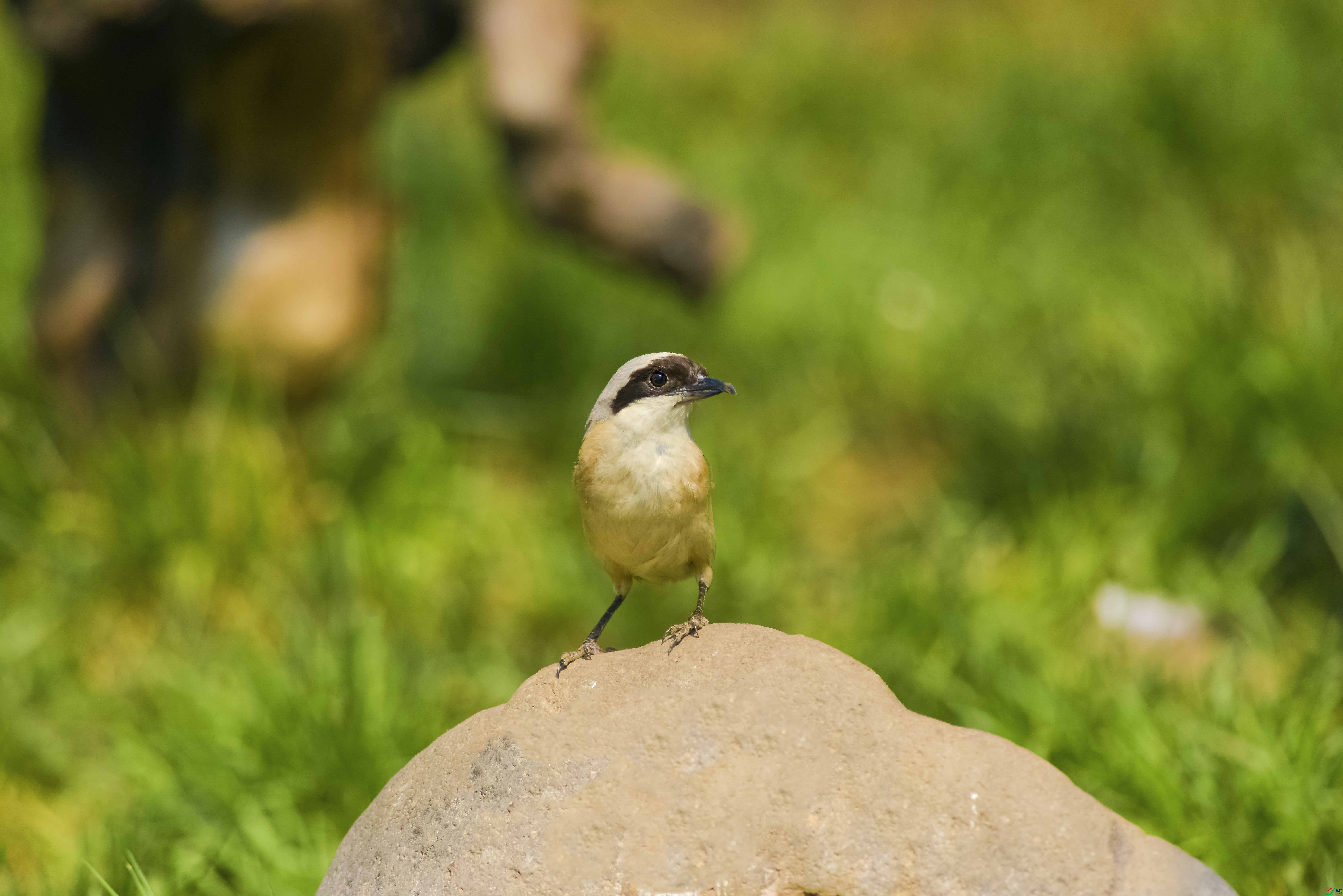 DSC_3430.jpg