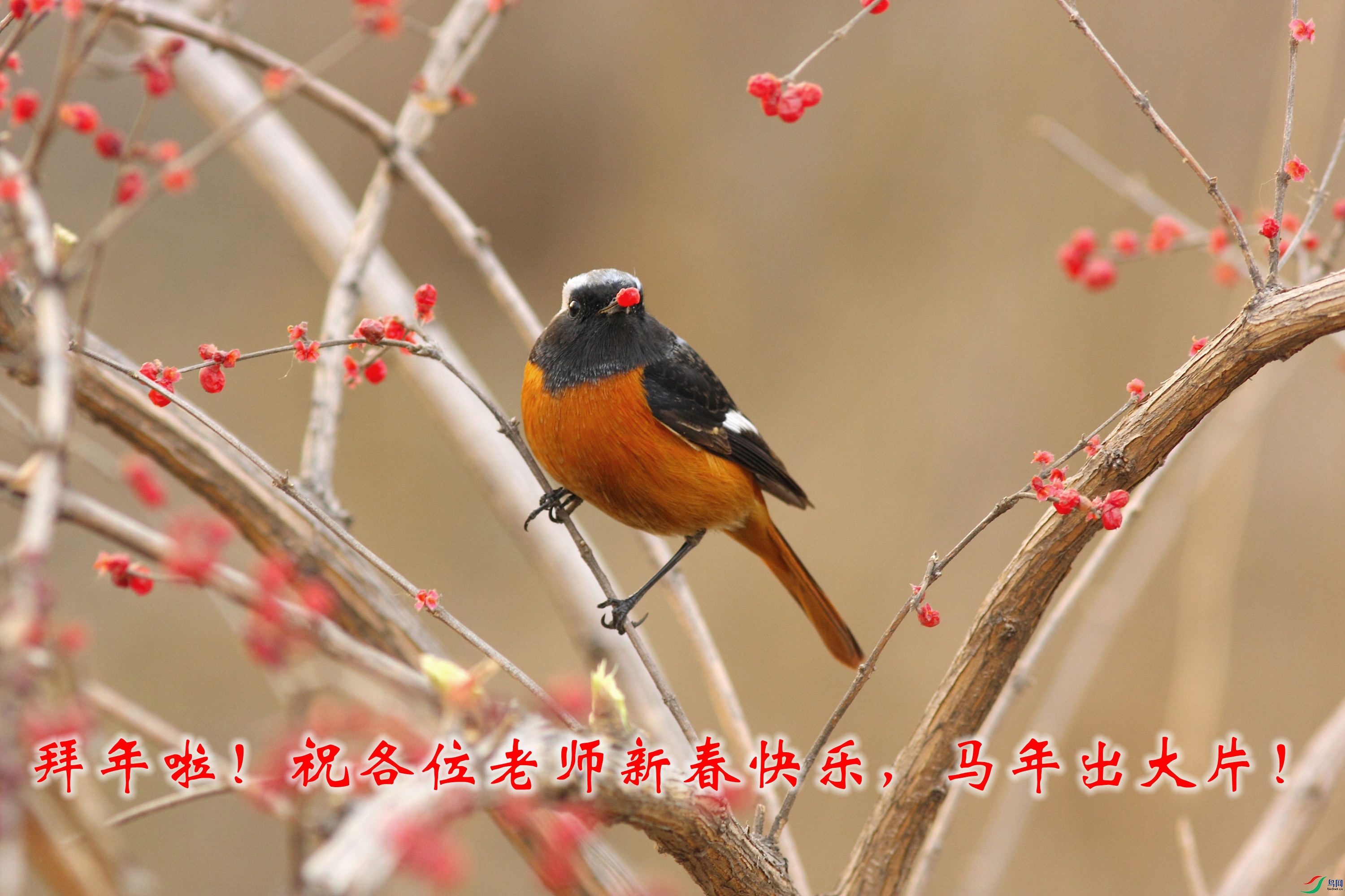 IMG_0820_����.jpg