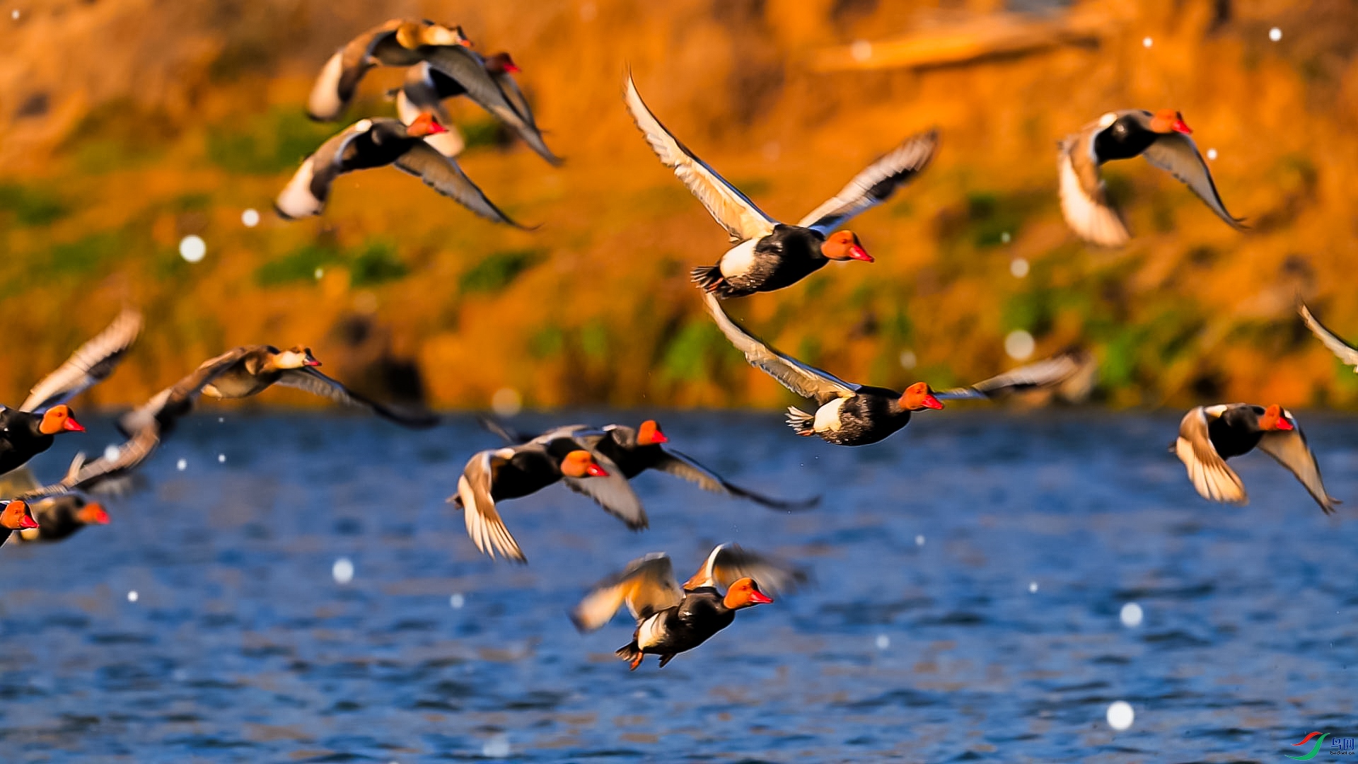 ������-���� ����.jpg