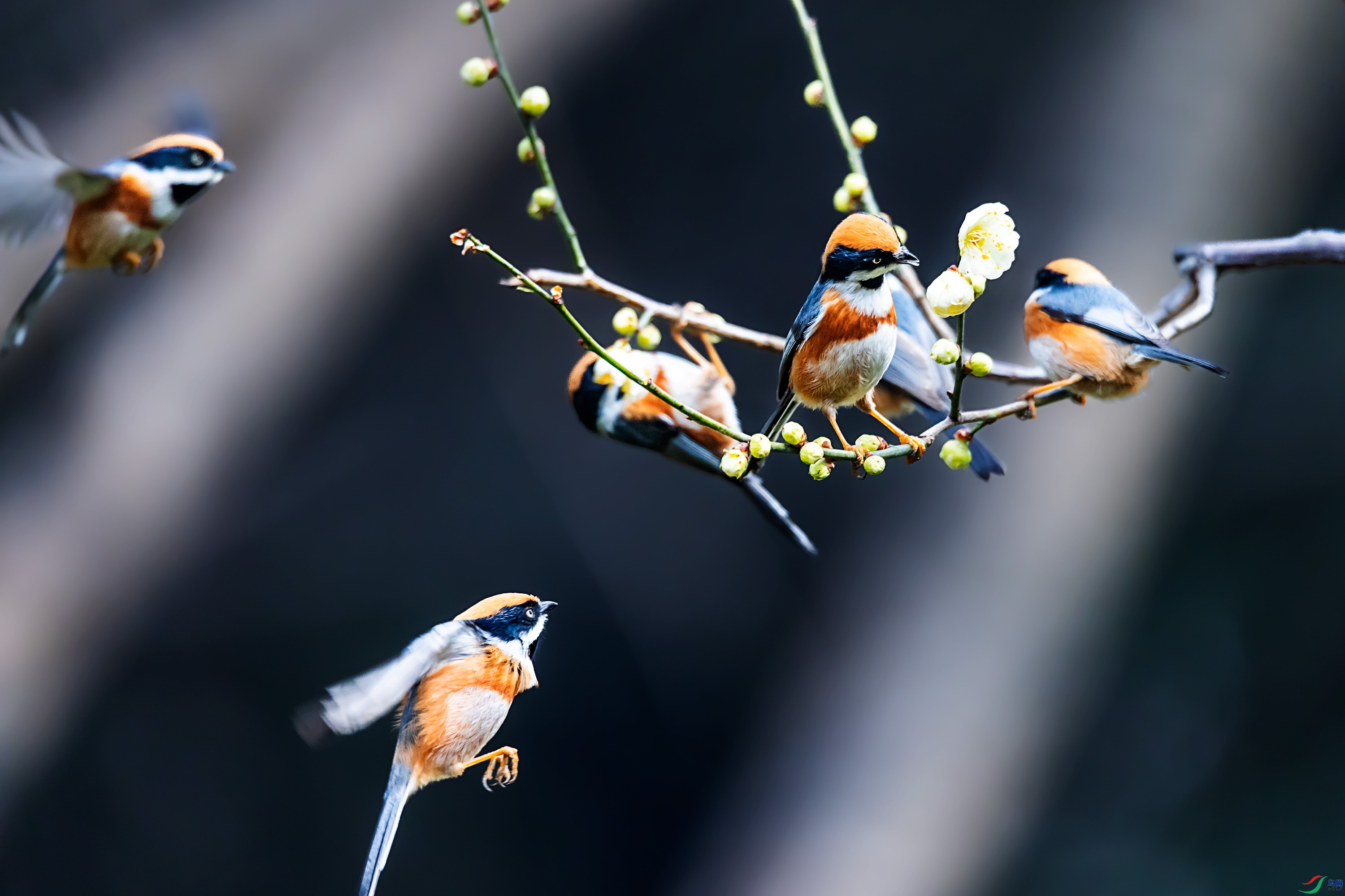 278A3273.jpg