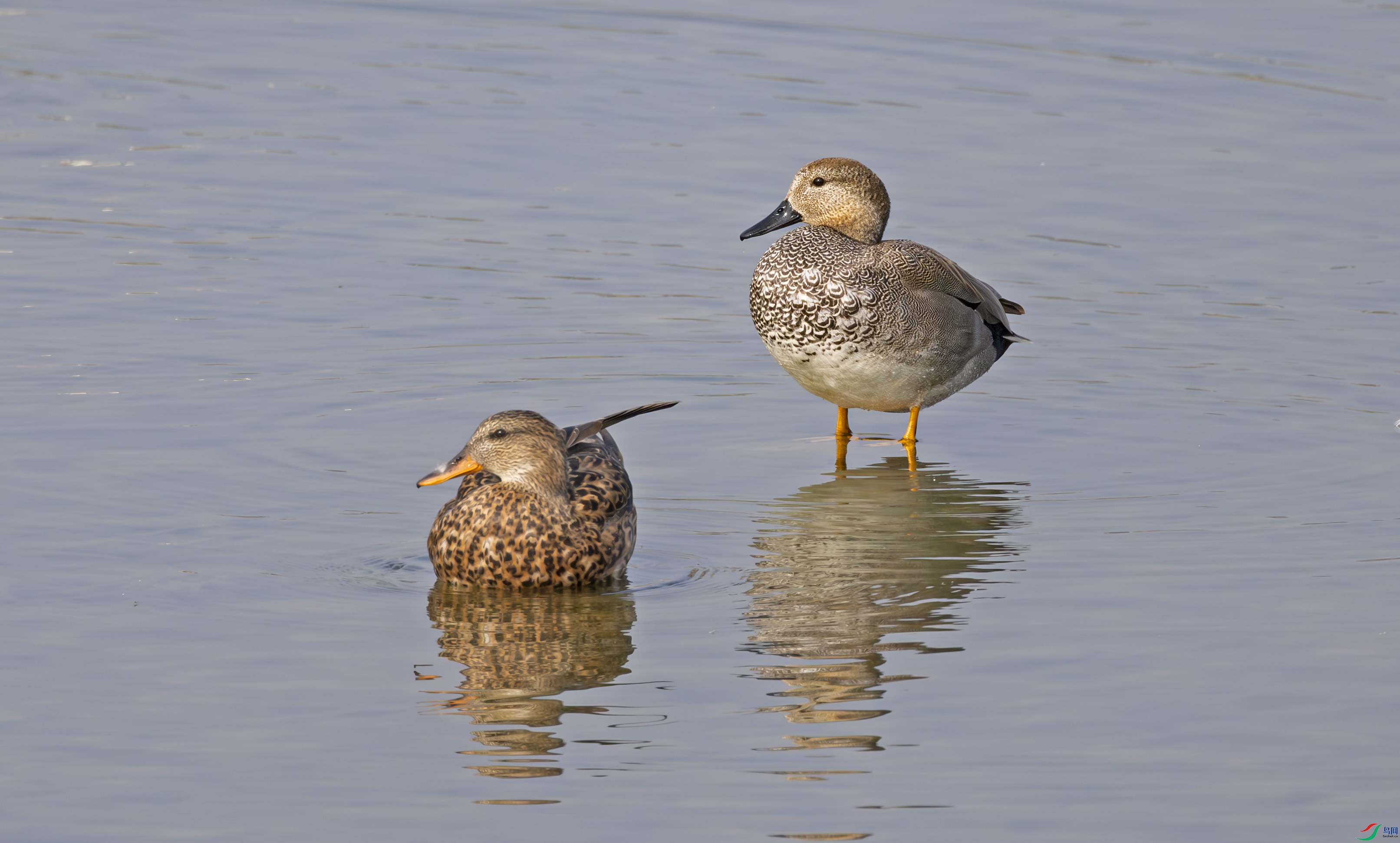 G47A4897-����ǿ-NR ����.jpg