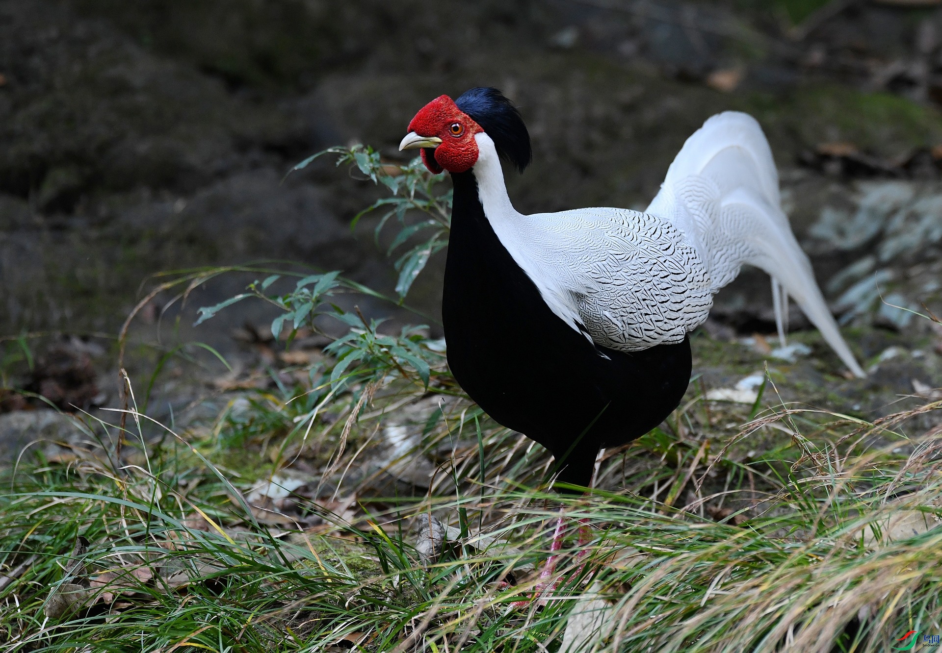 DSC_7150.jpg