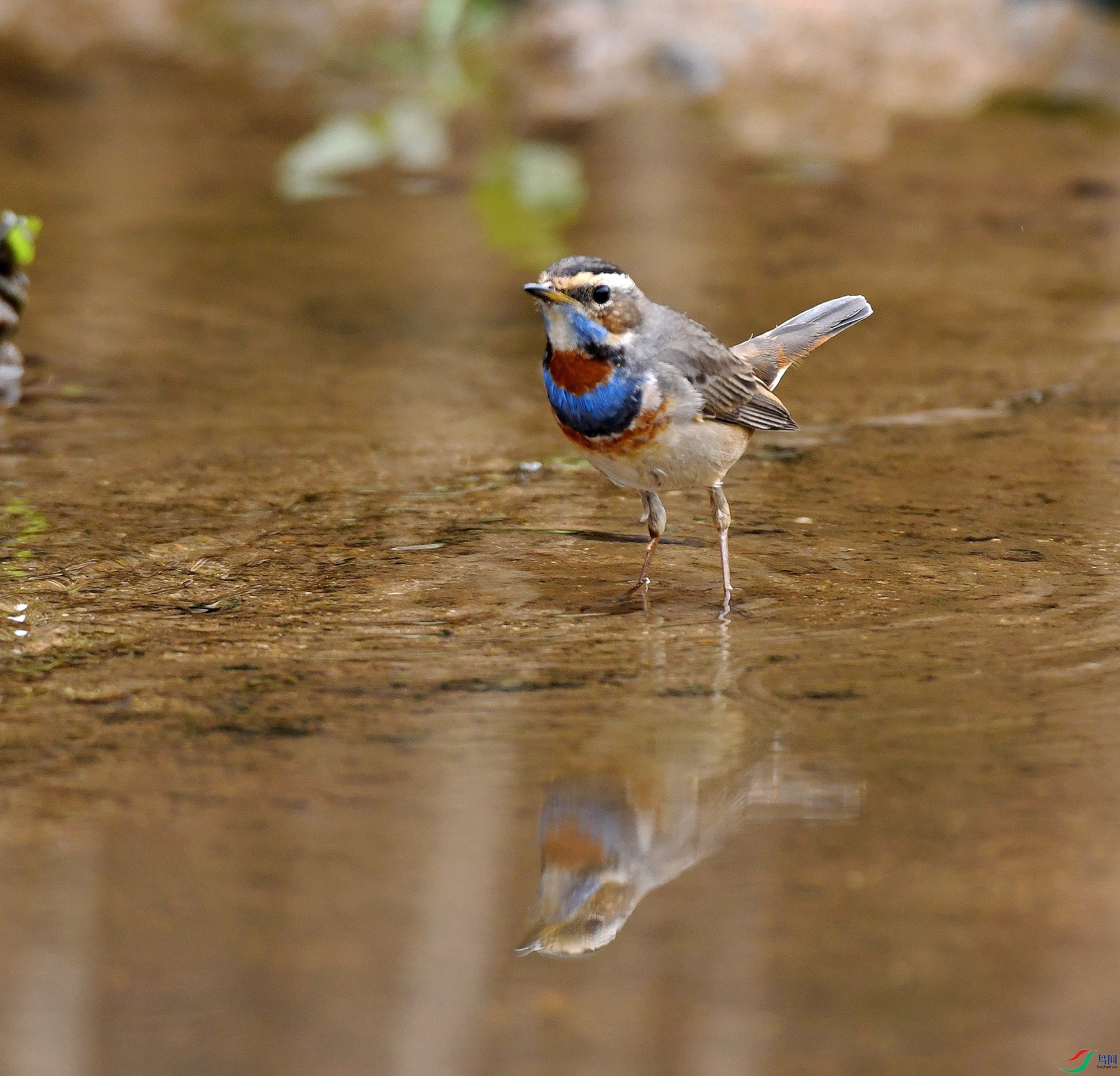 DSC_7549.jpg