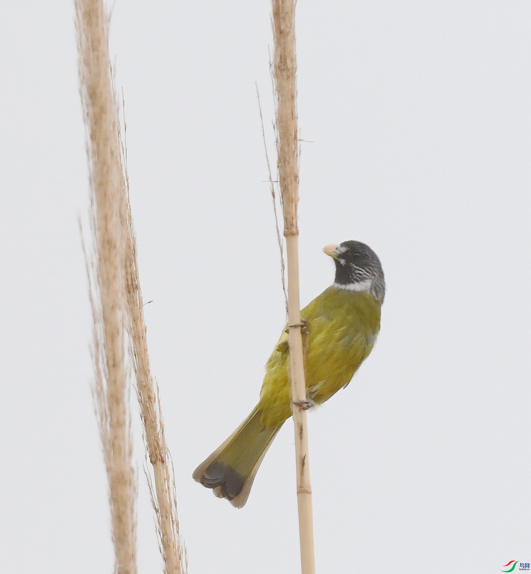 DSC_7098.jpg