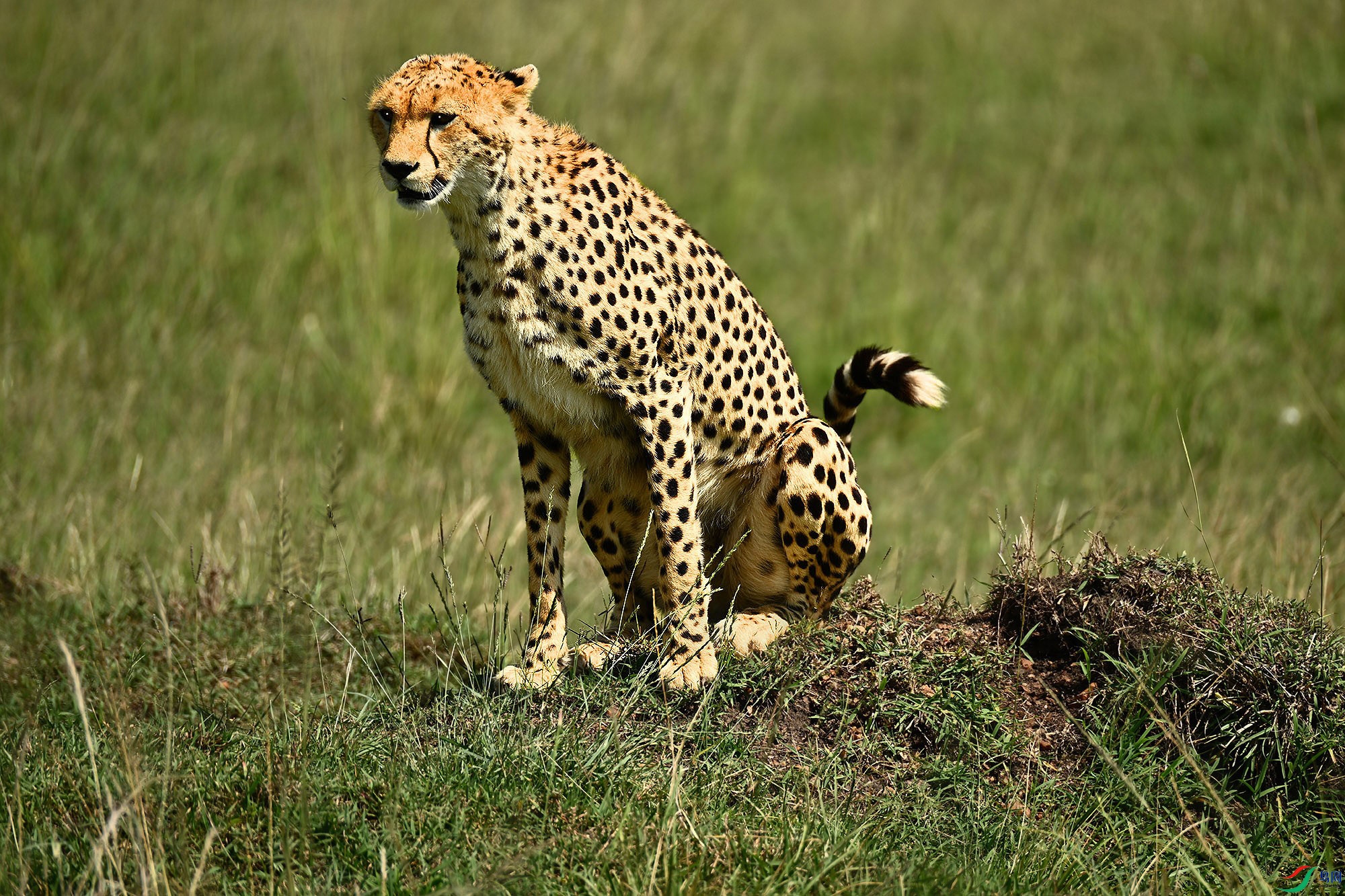 DSC_9174_.jpg