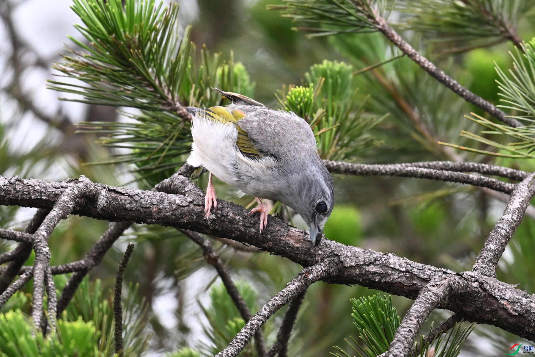 DSC_0835.JPG