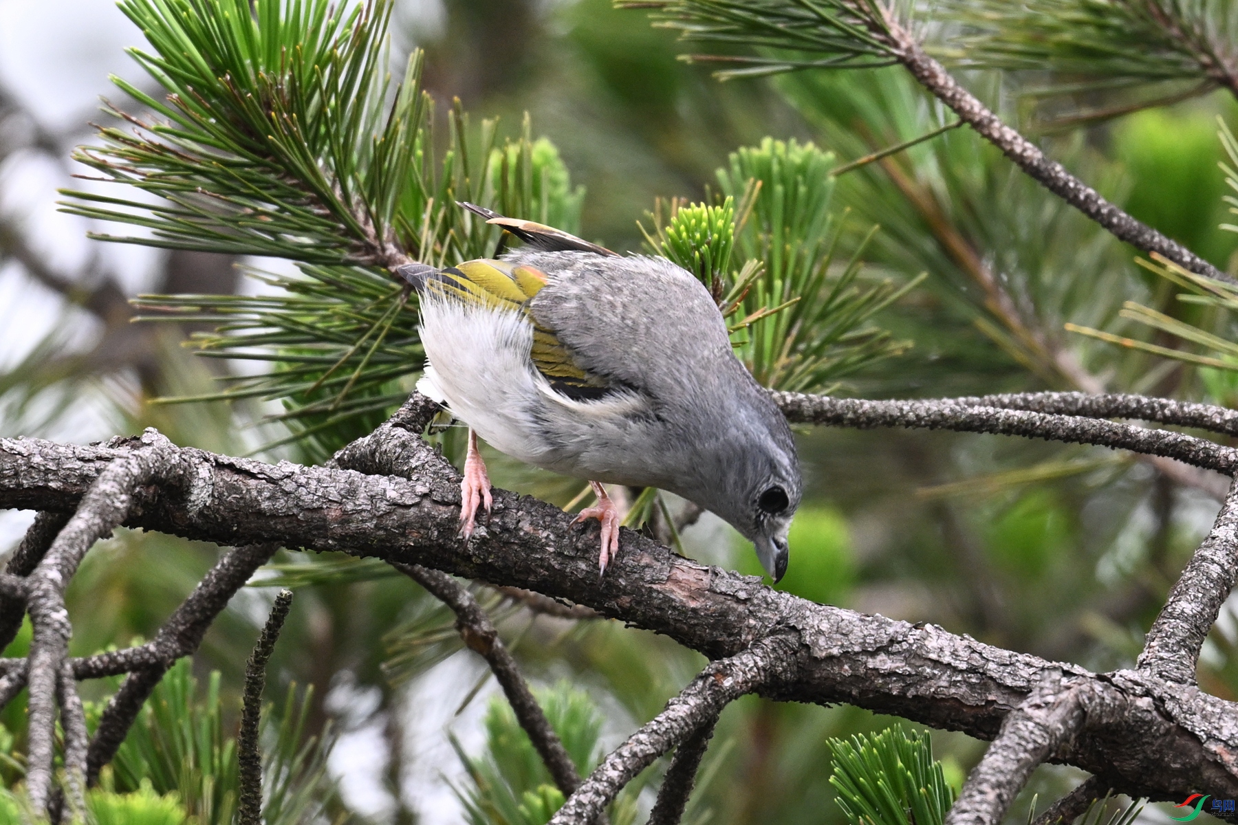 DSC_0836.JPG