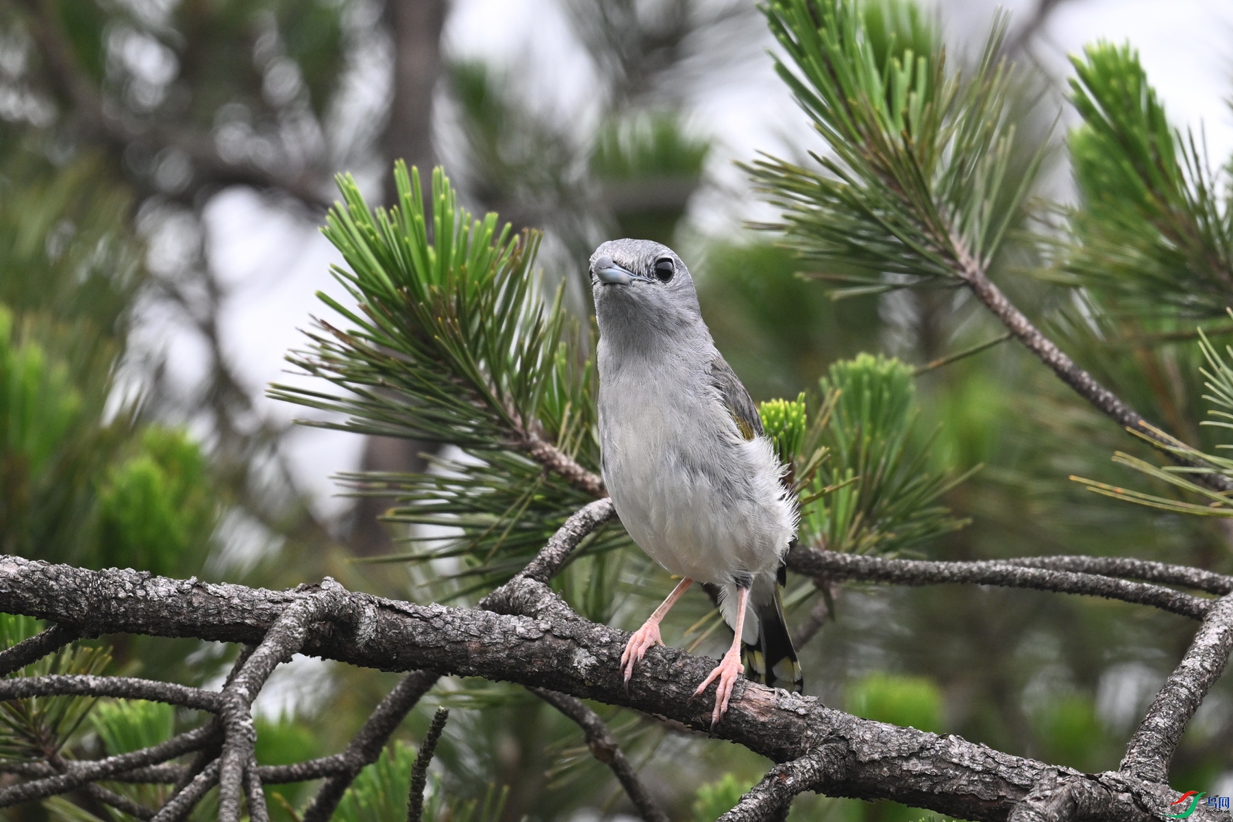DSC_0874.JPG