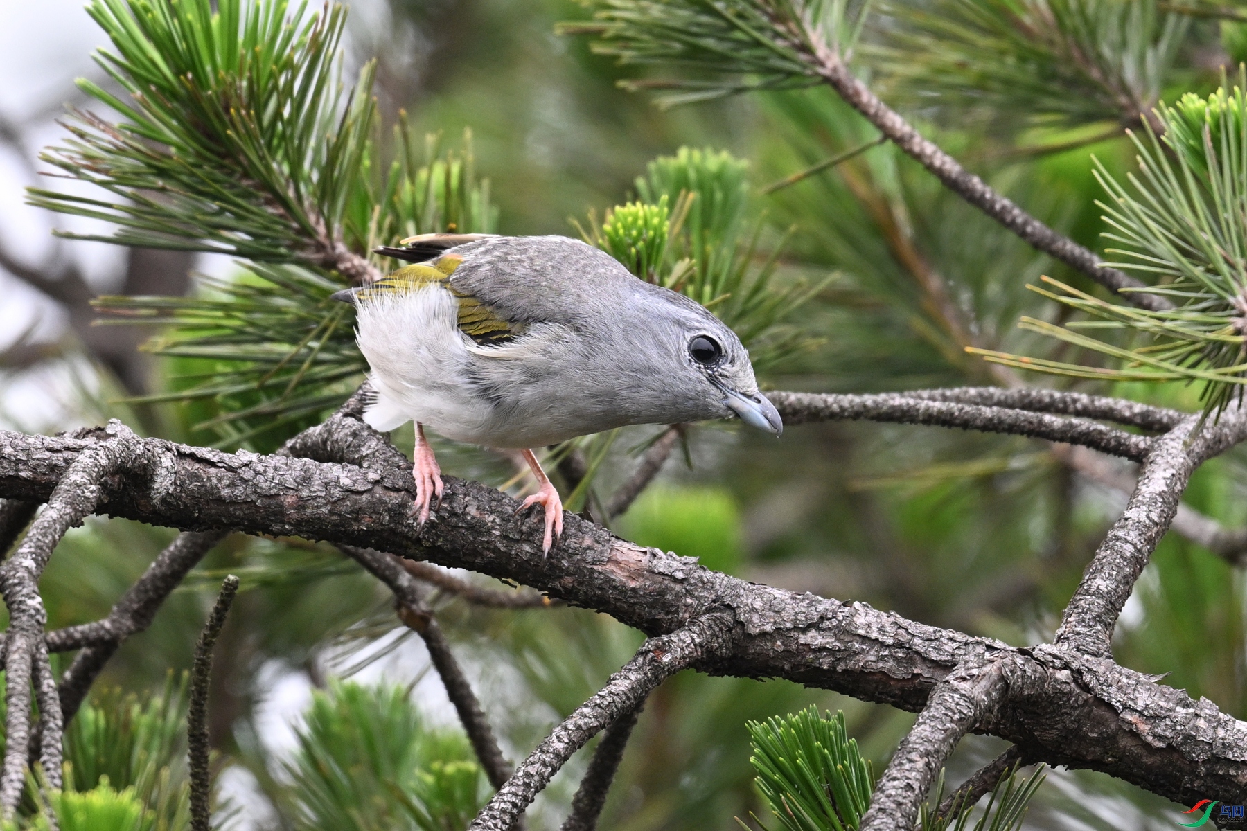 DSC_0838.JPG