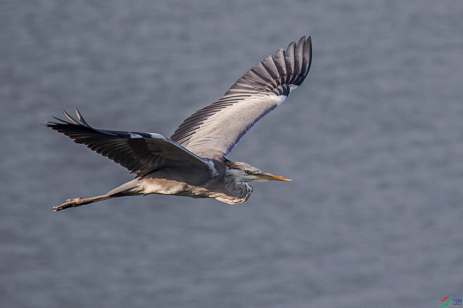 _MG_0183 ����.jpg