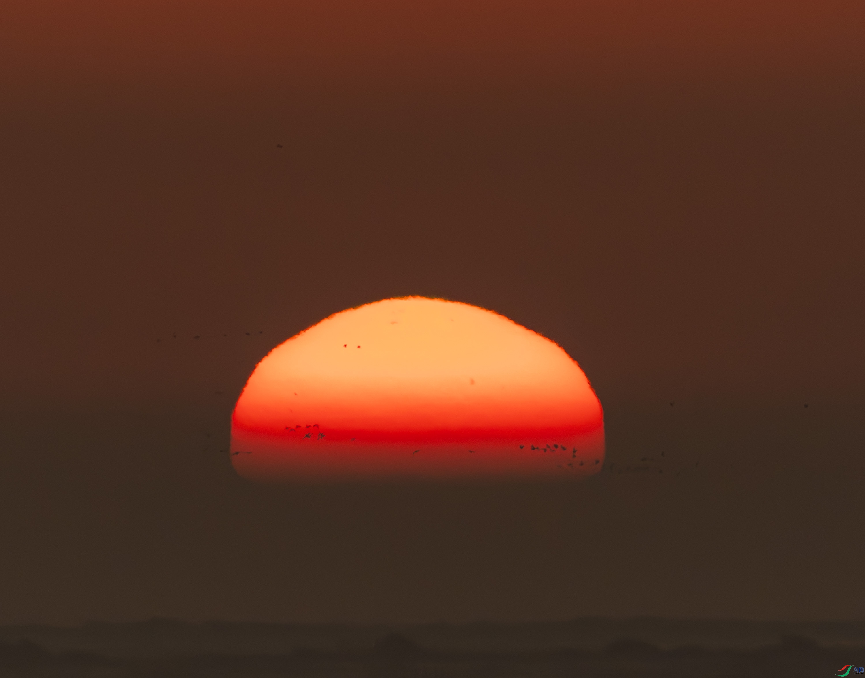 ������-01-9.jpg