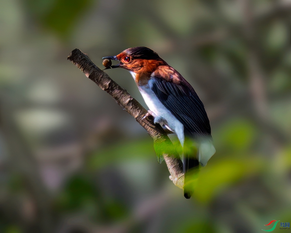 _DSC9683.jpg
