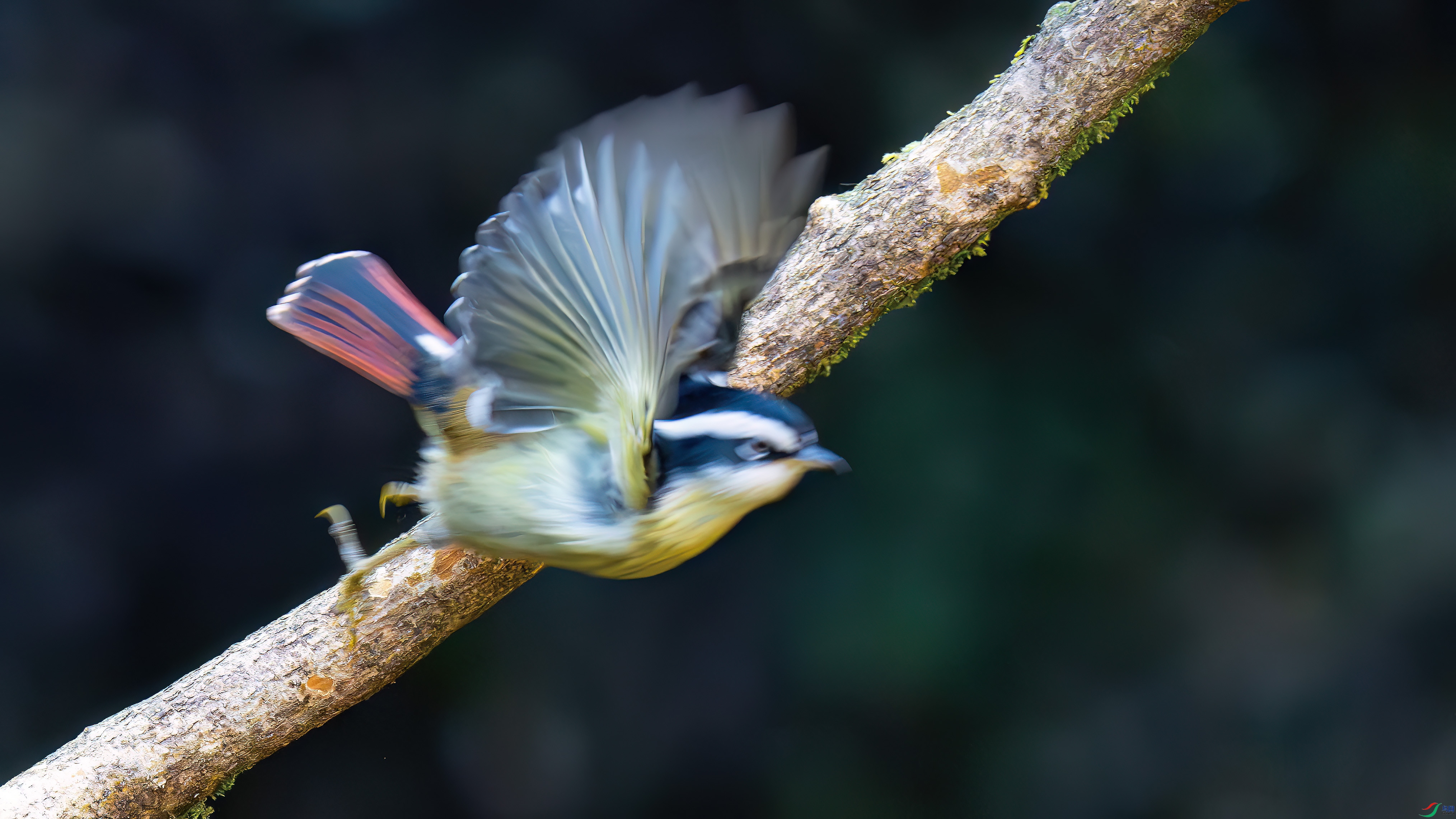 DSC_0586.jpg