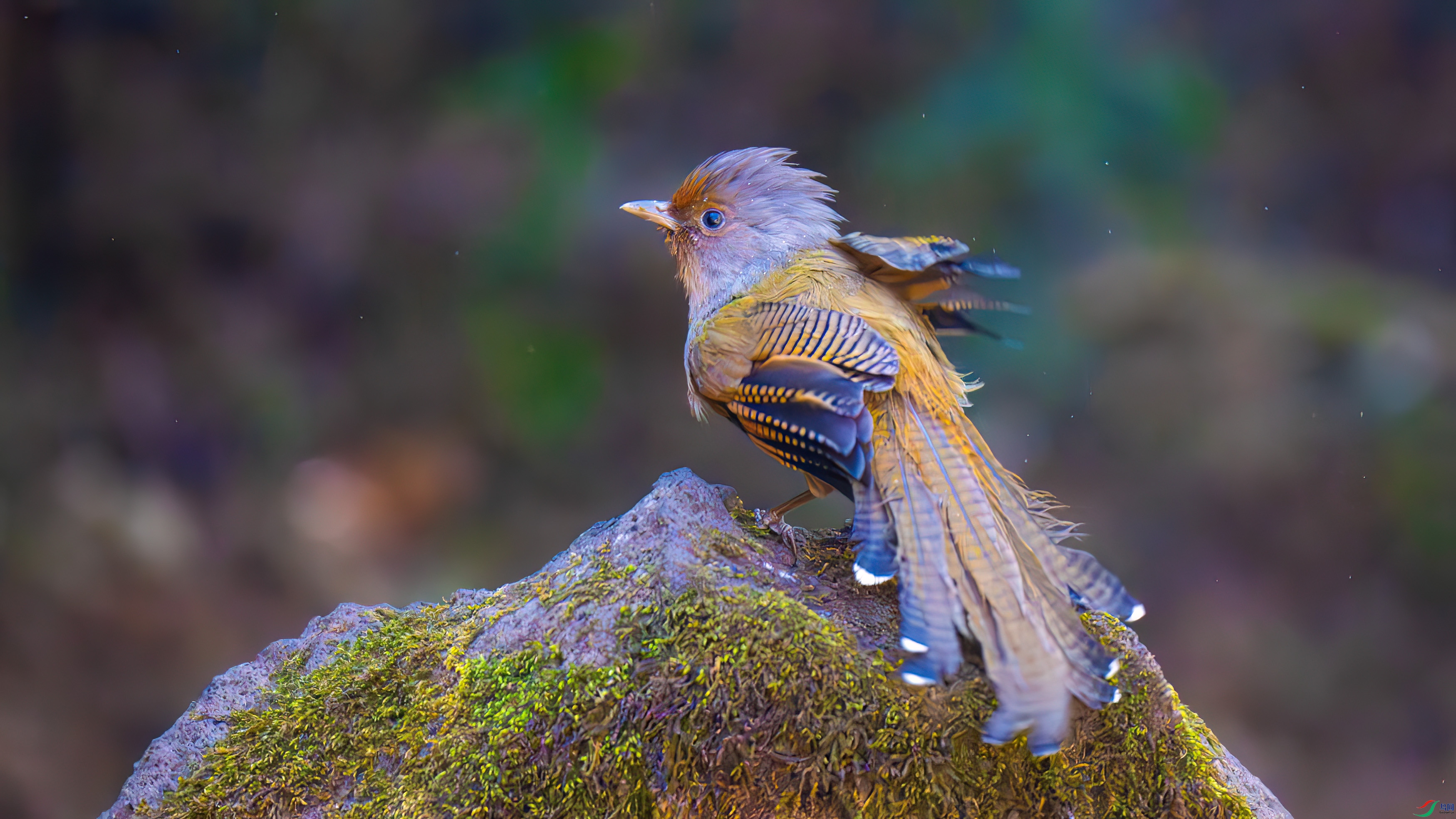DSC_1687.jpg