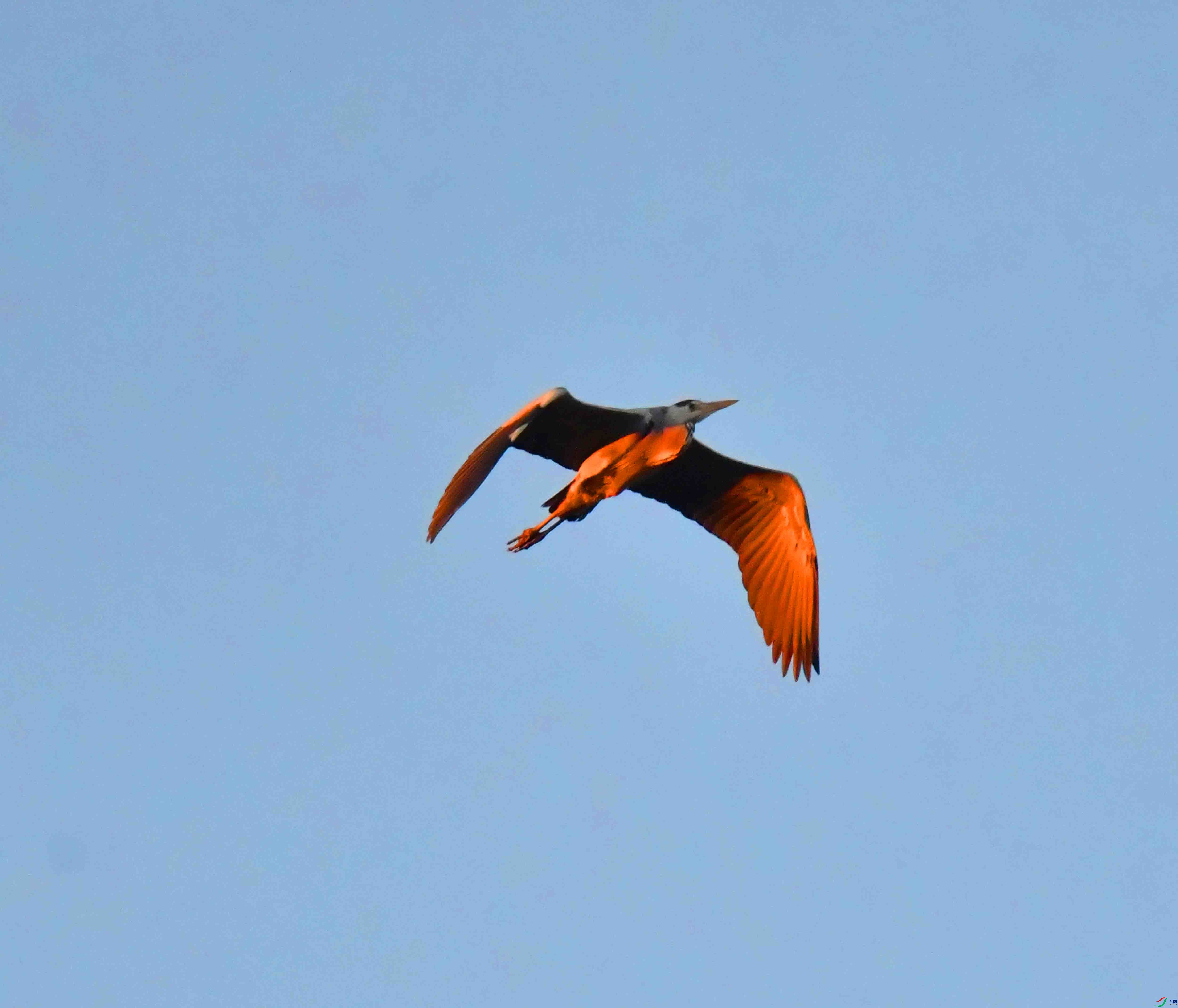 DSC_9543.JPG