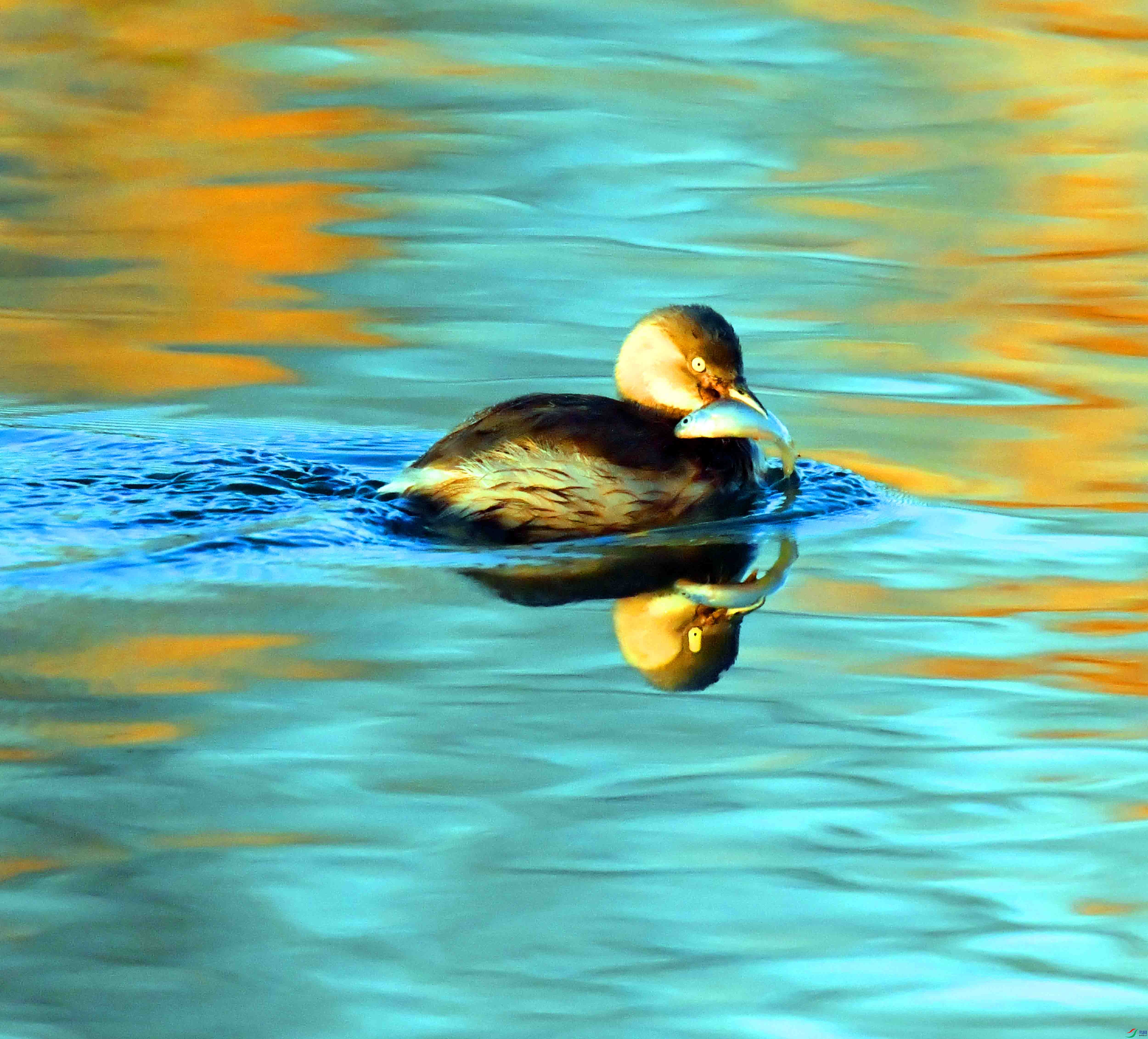 DSC_9634.JPG