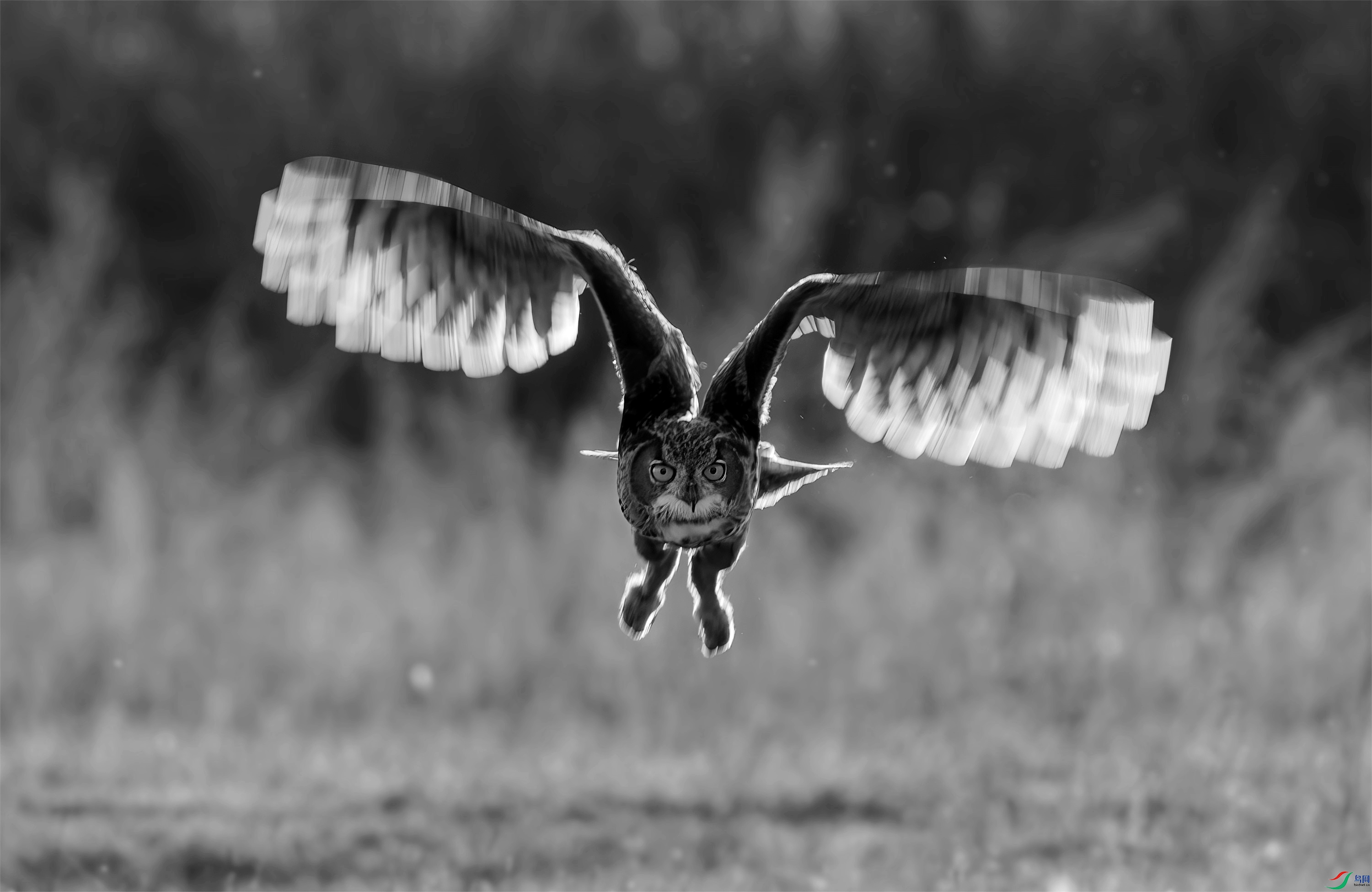 DSC05451 ����_����.jpg