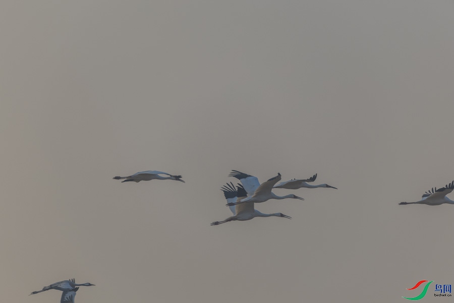 A_24.jpg