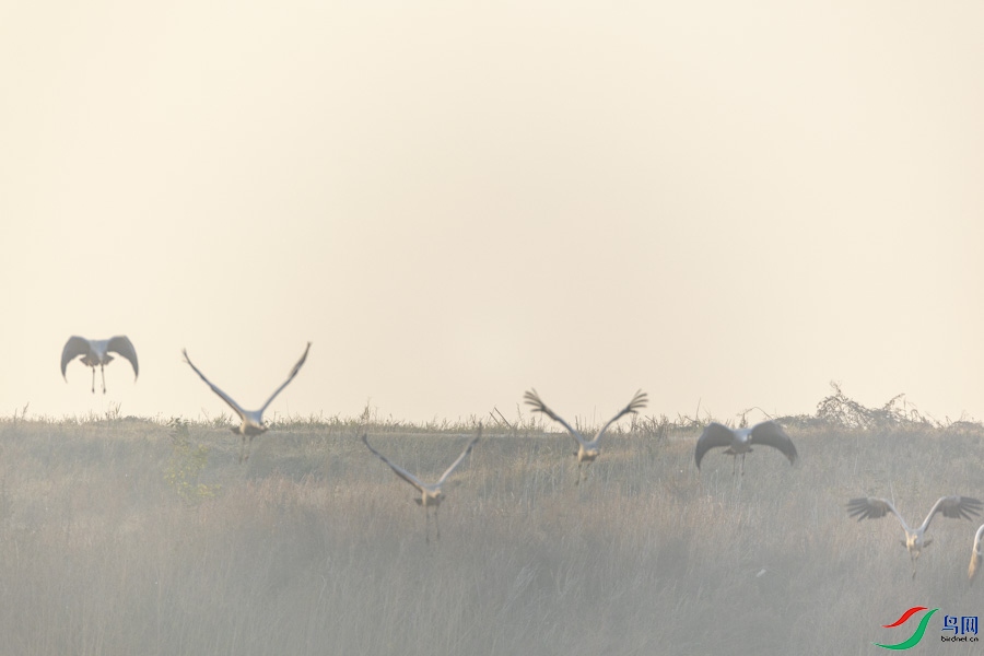 A_69.jpg